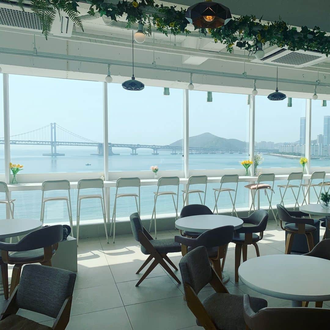 JR九州高速船株式会社さんのインスタグラム写真 - (JR九州高速船株式会社Instagram)「[日本語] [한국어] 釜山・広安里（クァンアンリ）トゥバックス 뚜벅스  今日は、釜山ならではのオーシャンビューを楽しめる素敵なカフェを紹介します。 広安里の海と広安大橋を眺めながら、トロピカルなドリンクとデザートで楽しいひとときを。🍹☀ この夏、釜山の楽しみ方としておすすめです！😊  오션뷰가 멋진 광안리 뚜벅스. 부산만의 풍경을 즐길 수 있는 광안리해수욕장의 카페입니다.⛱  【住所・주소】 부산 수영구 광안해변로 239 7층 7F, 239 Gwanganhaebyeon-ro, Suyeong-gu, Busan, South Korea  【営業時間】 平日 10:00～23:30 週末 10:00～00:30  #クイーンビートル #QUEENBEETLE #퀸비틀 #韓国旅行 #韓国 #釜山旅行 #釜山 #プサン #クァンアンリ #広安里 #カフェ #韓国カフェ #釜山カフェ #広安里カフェ #korea #busan #한국 #부산 #부산여행 #한국여행 #광안리오션뷰 #뷰맛집 #광안리 #광안리카페 #뚜벅스 #광안대교 #韓国好きな人と繋がりたい #jr九州高速船」6月15日 15時34分 - beetle_de_go
