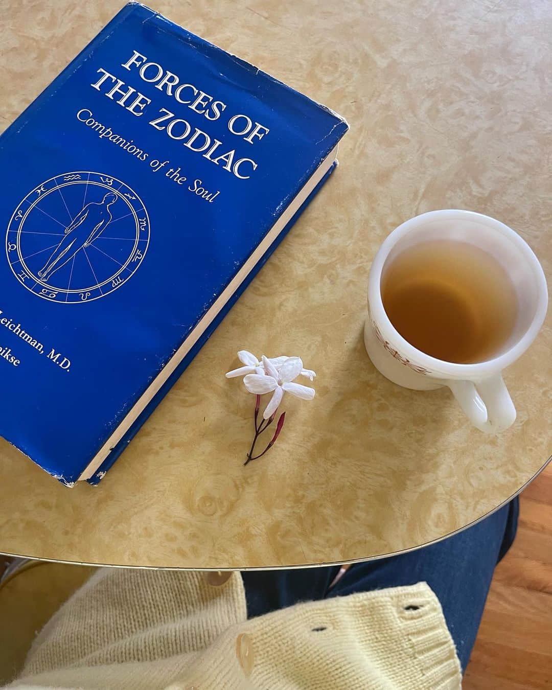 ティファニー・キャデラックのインスタグラム：「Current read. Sweet pink jasmine. Peppermint tea. I feel that yellow is low key my colour.」