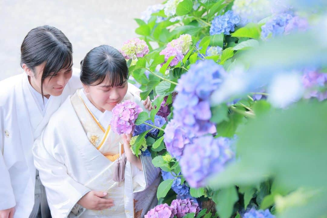 スタジオエイト 名古屋さんのインスタグラム写真 - (スタジオエイト 名古屋Instagram)「【あじさいのお花と🐌】  広大な敷地に紫陽花が咲く、とっても素敵なロケ地に行ってきました🩵🩷💜  いろんな色の紫陽花があって華やかです❣️ 和装にも洋装にもお似合い✨  今回は2人のご希望でご提案させていただきました。他にもこんな所で撮れるのかな👀❓という場所があれば、ぜひ教えてくださいね！  📷 satoko mochizuki→ @s.mochizuki.deco.ph  💄 Ayano Fuki→ HP  📷photographer @t.oguri.deco.ph @s.mochizuki.deco.ph @n.kaoru.deco.ph @a.fujiwara.deco.ph @yagasaki.deco.ph ︎●sato kenta → HP gallery ●kimura mio → HP gallery ●kondo reina → HP gallery  💄hair&makeup @mitani.deco.hm @nanami.deco.hm @kazumi.deco.hm @e.fukado.deco.hm @miharu.deco.hm @koide.deco.hm @nishimura.deco.hm @matsuyama.deco.hm ●kanamori kureha → HP gallery ●sato ayumi → HP gallery ●yukioka airi → HP gallery ●ishikawa haruka → HP gallery ●fuki ayano → HP gallery  私たちと一緒に働きませんか？ フォトグラファー、ヘアメイク、 フォトプランナーを募集中です★ @decollte_recruit  #デコルテフォト #スタジオエイト #プレ花嫁 #名古屋プレ花嫁 #ウエディングレポ #前撮りレポ #DWPG #撮る結婚式　 #ウェディングフォト #フォトウエディング #結婚準備 #前撮りポーズ #ウエディングニュース #weddingphoto #日本中のプレ花嫁さんと繋がりたい #プレ花嫁さんと繋がりたい #おしゃれさんと繋がりたい #カップルさんと繋がりたい #2023秋婚 #2023春婚 #2023夏婚 #marry花嫁 #marryxoxo #あじさいの里 #あじさい　#白無垢　#和装前撮り　#オーダーメイド撮影」6月15日 16時04分 - studio8_nagoya.sakae