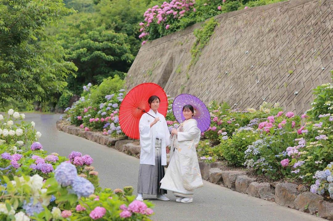 スタジオエイト 名古屋さんのインスタグラム写真 - (スタジオエイト 名古屋Instagram)「【あじさいのお花と🐌】  広大な敷地に紫陽花が咲く、とっても素敵なロケ地に行ってきました🩵🩷💜  いろんな色の紫陽花があって華やかです❣️ 和装にも洋装にもお似合い✨  今回は2人のご希望でご提案させていただきました。他にもこんな所で撮れるのかな👀❓という場所があれば、ぜひ教えてくださいね！  📷 satoko mochizuki→ @s.mochizuki.deco.ph  💄 Ayano Fuki→ HP  📷photographer @t.oguri.deco.ph @s.mochizuki.deco.ph @n.kaoru.deco.ph @a.fujiwara.deco.ph @yagasaki.deco.ph ︎●sato kenta → HP gallery ●kimura mio → HP gallery ●kondo reina → HP gallery  💄hair&makeup @mitani.deco.hm @nanami.deco.hm @kazumi.deco.hm @e.fukado.deco.hm @miharu.deco.hm @koide.deco.hm @nishimura.deco.hm @matsuyama.deco.hm ●kanamori kureha → HP gallery ●sato ayumi → HP gallery ●yukioka airi → HP gallery ●ishikawa haruka → HP gallery ●fuki ayano → HP gallery  私たちと一緒に働きませんか？ フォトグラファー、ヘアメイク、 フォトプランナーを募集中です★ @decollte_recruit  #デコルテフォト #スタジオエイト #プレ花嫁 #名古屋プレ花嫁 #ウエディングレポ #前撮りレポ #DWPG #撮る結婚式　 #ウェディングフォト #フォトウエディング #結婚準備 #前撮りポーズ #ウエディングニュース #weddingphoto #日本中のプレ花嫁さんと繋がりたい #プレ花嫁さんと繋がりたい #おしゃれさんと繋がりたい #カップルさんと繋がりたい #2023秋婚 #2023春婚 #2023夏婚 #marry花嫁 #marryxoxo #あじさいの里 #あじさい　#白無垢　#和装前撮り　#オーダーメイド撮影」6月15日 16時04分 - studio8_nagoya.sakae