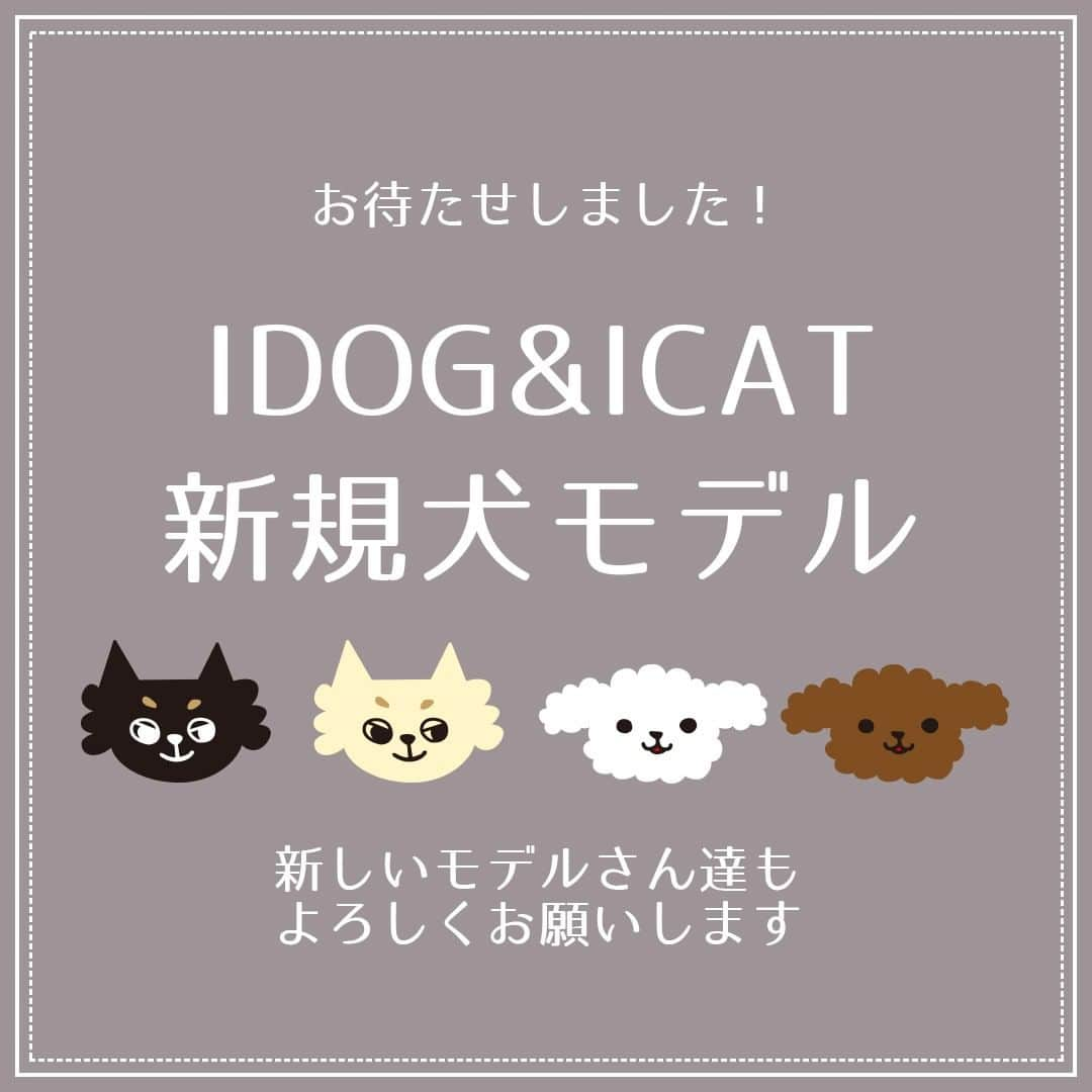 iDog&iCatのインスタグラム