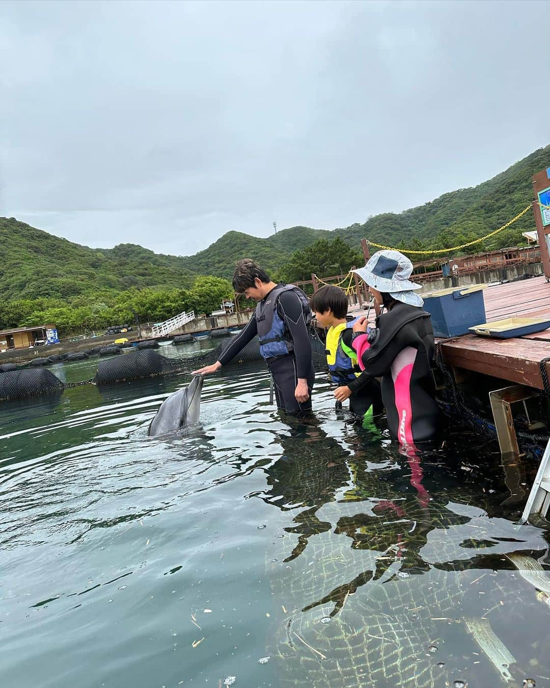 あだち理絵子さんのインスタグラム写真 - (あだち理絵子Instagram)「久しぶりの 水着　toppic  旅行にきてるなら水着ないんですかと メッセージきたから　 リクエストに応えて自撮りw ストーリーズにあげてたら いつもの5倍のイイネきたよ。  #需要あるんだね 😆  #ぷらっと旅気分 のロケでこさせてもらった #じゃのひれドルフィンファーム   #イルカと泳ぐ 体験を子供達にさせてあげたくて。  #ウェットスーツ  に着替えたら  触れ合うイルカさんのお勉強  かぼす　と　すだち  見分け方は 目がタレ目か、くりくりか 背鰭に傷1本は、かぼすちゃん  そしていざ対面！  ほんまや！ 目が全然違うぅ👀  うきーっ、かわゆい。  合図だしたら 回ってくれたり 上手にヒレをこちらの手のところに持ってきてくれたり ジャンプを間近で見れて✨  かーしーこーいー   #イルカトレーナー になりたいと思ってまうw  最後にはシュノーケルつけて一緒に泳いだよ。  ロケの時はヒレを持たせてもらって 抱っこしたまま泳いでくれたけど 今はできません😢  いやー 時間が短かすぎ！！  大人も子供も1人7,000円  お高いけど イルカの飼育費かかるしねっ。  渦潮も見にいったけど 大したことなかった。  いやー、やっぱ旅行いいなぁ。  ウェットスーツ姿の子供達が可愛すぎた🥰   #いきものがかり    #淡路島 #淡路島観光   #子連れ旅 #家族旅行  #イルカ #イルカウォッチング  #イルカと泳ぐ  #イルカと触れ合い  #イルカにタッチ  #水着 #ビキニ」6月15日 16時07分 - adachi.rieko