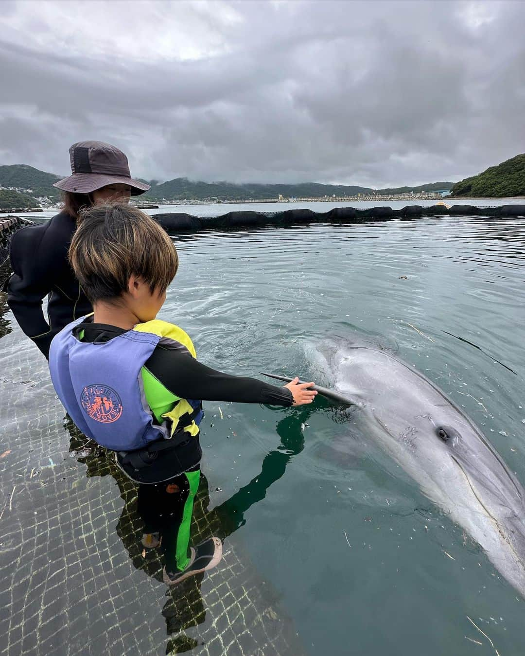 あだち理絵子さんのインスタグラム写真 - (あだち理絵子Instagram)「久しぶりの 水着　toppic  旅行にきてるなら水着ないんですかと メッセージきたから　 リクエストに応えて自撮りw ストーリーズにあげてたら いつもの5倍のイイネきたよ。  #需要あるんだね 😆  #ぷらっと旅気分 のロケでこさせてもらった #じゃのひれドルフィンファーム   #イルカと泳ぐ 体験を子供達にさせてあげたくて。  #ウェットスーツ  に着替えたら  触れ合うイルカさんのお勉強  かぼす　と　すだち  見分け方は 目がタレ目か、くりくりか 背鰭に傷1本は、かぼすちゃん  そしていざ対面！  ほんまや！ 目が全然違うぅ👀  うきーっ、かわゆい。  合図だしたら 回ってくれたり 上手にヒレをこちらの手のところに持ってきてくれたり ジャンプを間近で見れて✨  かーしーこーいー   #イルカトレーナー になりたいと思ってまうw  最後にはシュノーケルつけて一緒に泳いだよ。  ロケの時はヒレを持たせてもらって 抱っこしたまま泳いでくれたけど 今はできません😢  いやー 時間が短かすぎ！！  大人も子供も1人7,000円  お高いけど イルカの飼育費かかるしねっ。  渦潮も見にいったけど 大したことなかった。  いやー、やっぱ旅行いいなぁ。  ウェットスーツ姿の子供達が可愛すぎた🥰   #いきものがかり    #淡路島 #淡路島観光   #子連れ旅 #家族旅行  #イルカ #イルカウォッチング  #イルカと泳ぐ  #イルカと触れ合い  #イルカにタッチ  #水着 #ビキニ」6月15日 16時07分 - adachi.rieko