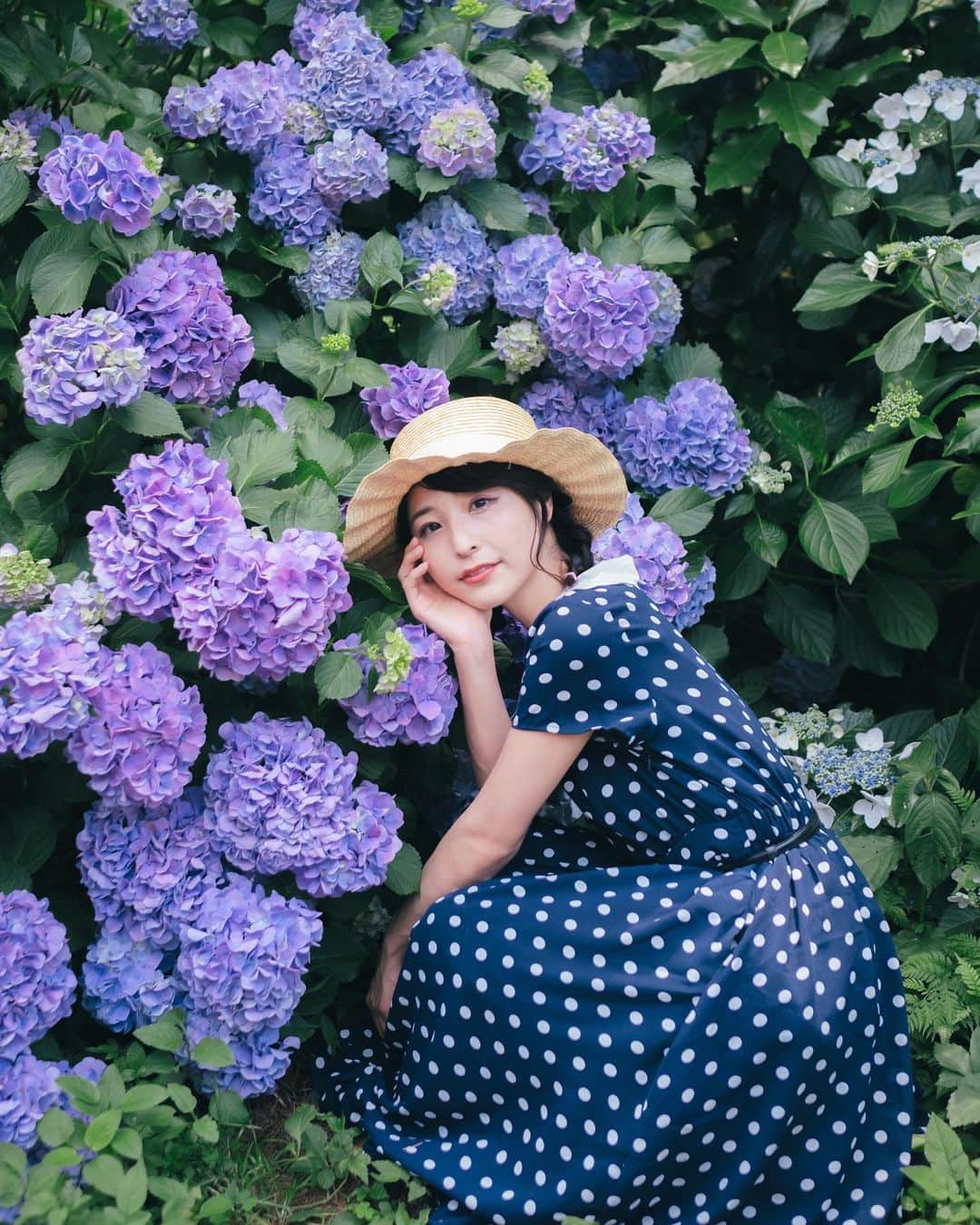 Yuma Takatsukiのインスタグラム：「. . . hydrangea . . . . . . 北海道での撮影ありがとうございました。 めっちゃ涼しくて過ごしやすかったな。 また北海道来ます！ ⁡ さ、暑い関西に帰るぞ〜 ⁡ それでは今日もお疲れさまでした。 . Tokyo／Japan X-T4／XF23mmF1.4 R . -----------------------------------------  ITTOKO写真展『ほな、いっとこ！』 vol.4 　　　　　　　　　　　　　　　〜FIND〜  会期 : 2023.06.28(水)〜07.03(月) 時間 : 12:00〜20:00 　　　(初日は14:00~,最終日は18:00迄) 場所 : イロリムラ 2F 〒 530-0016 大阪府大阪市北区中崎1丁目4番15号  ----------------------------------------- . #fujifilm  #fujifilm_xseries  #XF23mmF1.4R #富士フイルム  . ―――――――――――――――――――――――――― 関西を中心にフリーランスで活動しています。 Web広告、個人撮影、家族撮影、PR撮影など、 6月以降の撮影依頼募集中です。 ⁡ ⁡Yuma Takatsukiオリジナルプリセットも販売中です。 ⁡プロフィールのポートフォリオサイトからご覧下さい。  またフォトサークルITTOKOという活動をしています。 ⁡ハイライトに色んなイベントをまとめています。 ――――――――――――――――――――――――――」