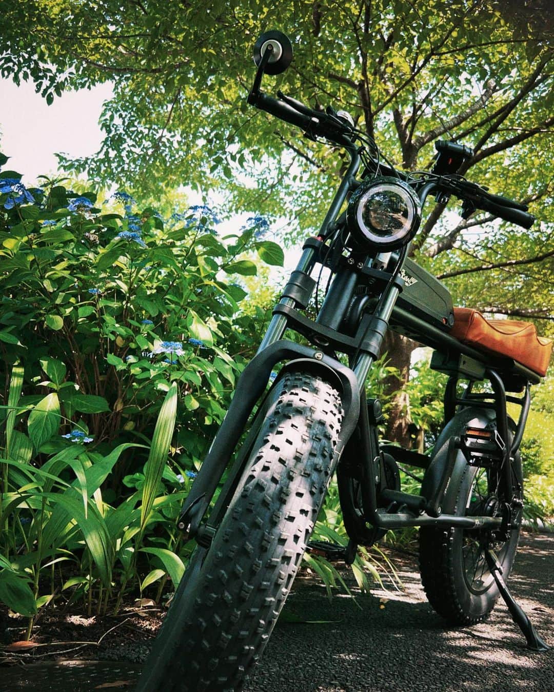 のインスタグラム：「🚲 #愛車 #電動自転車 #flowebike  #紫陽花 #雨降る前に気分転換でけた」