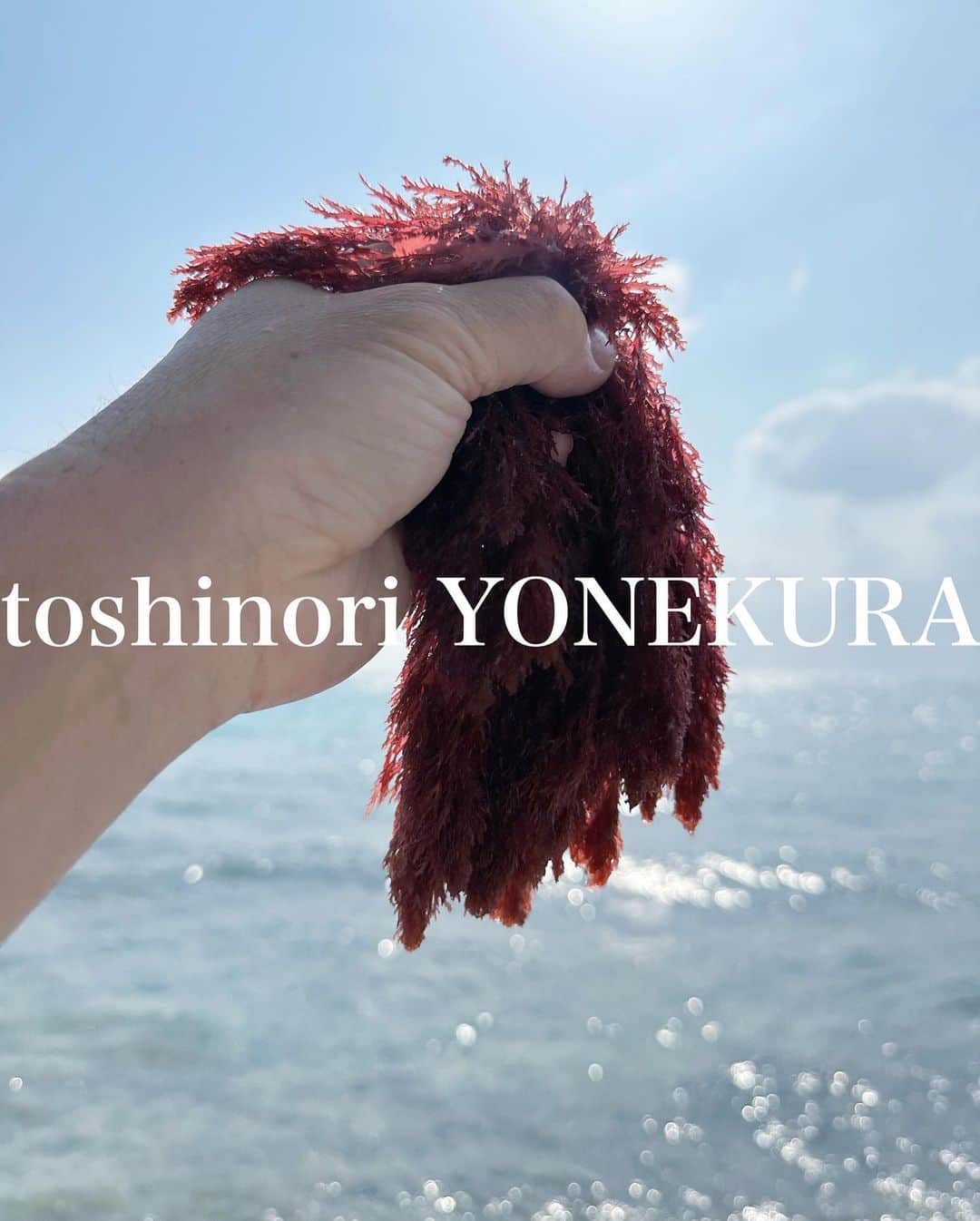 米倉利紀さんのインスタグラム写真 - (米倉利紀Instagram)「海藻  #島暮らし #夕飯のおかず」6月15日 17時14分 - toshi_yonekura