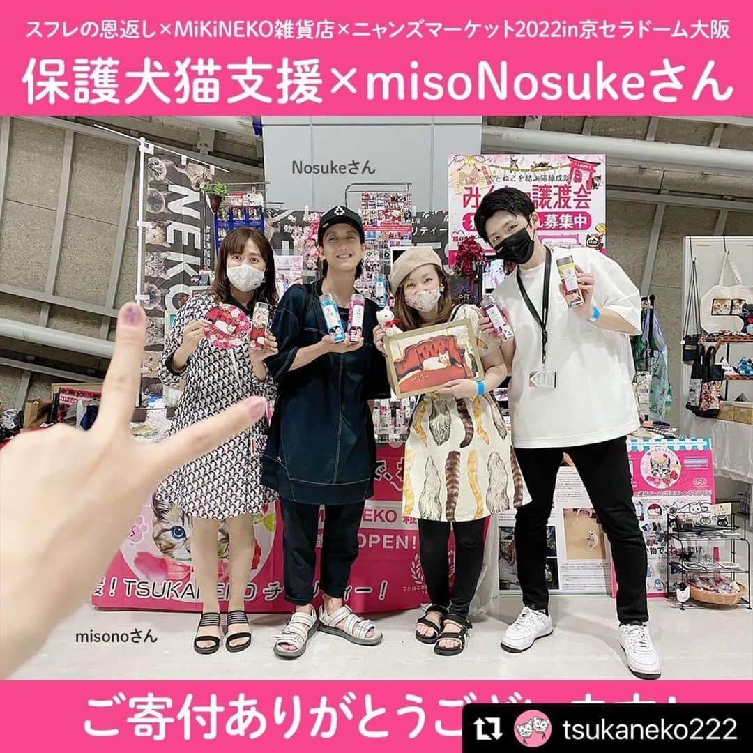 misoNosukeさんのインスタグラム写真 - (misoNosukeInstagram)「. . KODA家の猫（10匹）の為に お買い物が出来て  『保護犬猫の為になれる』って 一石二鳥♡  ↓  #Repost @tsukaneko222 with @use.repost  保護犬猫の譲渡会に 何度も参加して下さっていて  色々と協力＆応援して下さっている misoNosukeさんが  京セラドーム大阪で開催された 2022年のニャンズマーケットに！  つかねこ動物愛護環境福祉事業部の 保護猫のご支援金を寄付しに  わざわざプライベートで足を運んで misonoさんがカメラマンを担当して下さいました！  スフレの恩返し~芯身美茶~ スフレの恩返し × misoNosuke  この日もコラボ商品を松葉相談役に「無償でたくさん寄付」して頂いたので販売する事が出来ました。  その売り上げも 負傷猫の治療費や  卒業していった保護猫達の 飼育費などに使うことができました。  @tomiko_matsuba @beautytea_official @nosukedrummer   有り難い事に終始 うちのブースがすごい人だかりで  大・大・大盛況で休む暇もなく(;^_^A (⋈◍＞◡＜◍)。✧感謝♡  しかも松葉相談役が自ら(;'∀') チャリティーのteaの販売までして頂き  お仕事もお忙しい中💦 お疲れさまでした！  2023年もニャンズマーケットに出て スフレの恩返し旋風を巻きおこしたいです(笑)  ★譲渡会★  2023.7/2 みんなの譲渡会 立花南学習プラザにて  2023.8/20 ねこフェス＋わんマルシェ エコーペット学院にて  #スフレとバンビの恩返し  #スフレの恩返し支援 #芯身美茶 #寄付 #募金　 #保護犬猫  #子供  #福祉 #支援  #つかねこ動物愛護環境福祉事業部 #色んなカタチで応援してくれる人に感謝 #ニャンズマーケット2022 #時差投稿 #misono #Nosuke  #misoNosuke #美來夢 #大阪店 #京都店」6月15日 17時28分 - misono_koda_official