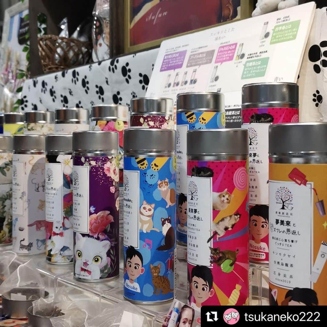 misoNosukeさんのインスタグラム写真 - (misoNosukeInstagram)「. . KODA家の猫（10匹）の為に お買い物が出来て  『保護犬猫の為になれる』って 一石二鳥♡  ↓  #Repost @tsukaneko222 with @use.repost  保護犬猫の譲渡会に 何度も参加して下さっていて  色々と協力＆応援して下さっている misoNosukeさんが  京セラドーム大阪で開催された 2022年のニャンズマーケットに！  つかねこ動物愛護環境福祉事業部の 保護猫のご支援金を寄付しに  わざわざプライベートで足を運んで misonoさんがカメラマンを担当して下さいました！  スフレの恩返し~芯身美茶~ スフレの恩返し × misoNosuke  この日もコラボ商品を松葉相談役に「無償でたくさん寄付」して頂いたので販売する事が出来ました。  その売り上げも 負傷猫の治療費や  卒業していった保護猫達の 飼育費などに使うことができました。  @tomiko_matsuba @beautytea_official @nosukedrummer   有り難い事に終始 うちのブースがすごい人だかりで  大・大・大盛況で休む暇もなく(;^_^A (⋈◍＞◡＜◍)。✧感謝♡  しかも松葉相談役が自ら(;'∀') チャリティーのteaの販売までして頂き  お仕事もお忙しい中💦 お疲れさまでした！  2023年もニャンズマーケットに出て スフレの恩返し旋風を巻きおこしたいです(笑)  ★譲渡会★  2023.7/2 みんなの譲渡会 立花南学習プラザにて  2023.8/20 ねこフェス＋わんマルシェ エコーペット学院にて  #スフレとバンビの恩返し  #スフレの恩返し支援 #芯身美茶 #寄付 #募金　 #保護犬猫  #子供  #福祉 #支援  #つかねこ動物愛護環境福祉事業部 #色んなカタチで応援してくれる人に感謝 #ニャンズマーケット2022 #時差投稿 #misono #Nosuke  #misoNosuke #美來夢 #大阪店 #京都店」6月15日 17時28分 - misono_koda_official