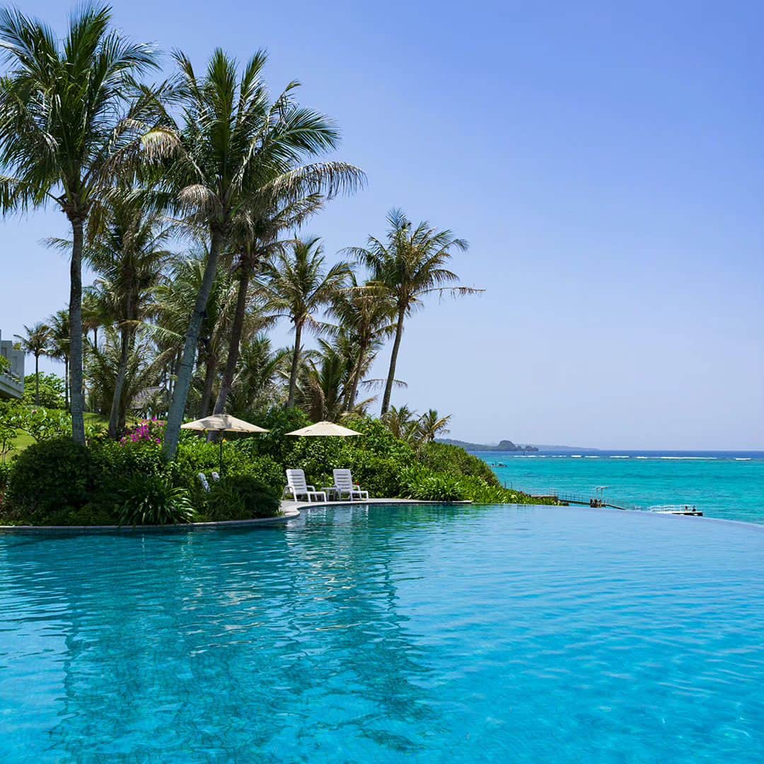 ホテルムーンビーチのインスタグラム：「5月24日、ラグーンプール。 May 24, Lagoon Pool  #ザムーンビーチミュージアムリゾート #ムーンビーチ #リゾート #沖縄 #沖縄観光 #沖縄ビーチ #沖縄旅行 #恩納村 #沖縄好き #沖縄好きな人と繋がりたい #旅行好きな人と繋がりたい #リゾート好きな人と繋がりたい #旅行 #japan #okinawa #themoonbeachmuseumresort #okinawabeach #okinawatrip #onnason #visitjapanjp #hotelmoonbeach #moonbeach」