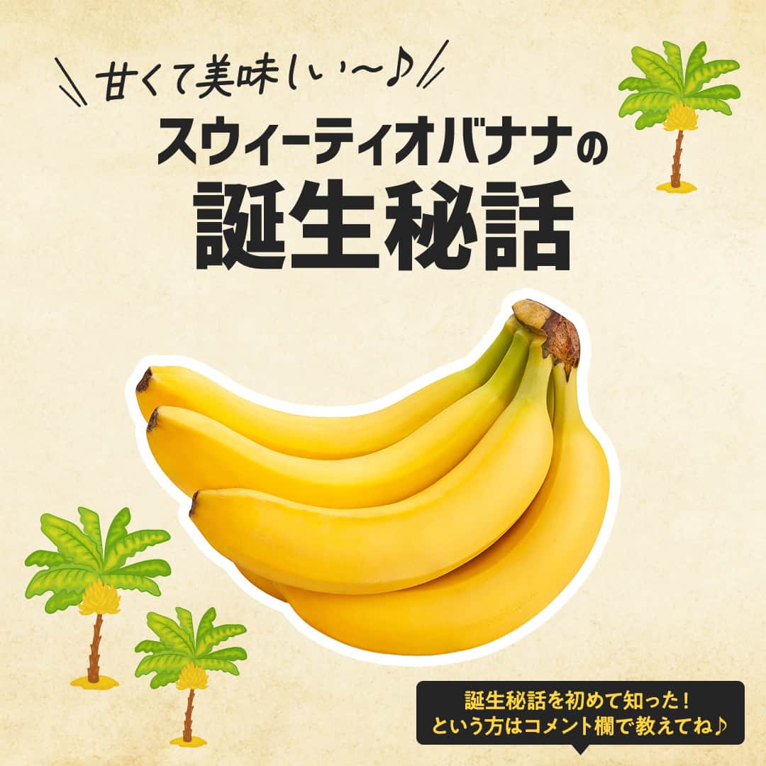 Dole_jp ドール ジャパンのインスタグラム：「スウィーティオバナナの誕生秘話・・🤫 初めて知った！という方は、「バナナ🍌」の絵文字でコメントしてね！  甘くて美味しいスウィーティオバナナ。 実は日本人の嗜好に合わせて生まれたバナナなのです☝  スウィーティオバナナが誕生した背景を知れば、 さらに愛着が湧いてくるかも..？😉  ぜひ本投稿2枚目以降をご確認ください♪⁣⁣  ・‥…━…‥・‥…━…‥・‥…━…‥・⁣⁣⁣ ドールの高品質フルーツを使ったレシピや新商品情報、ドールのある暮らし（Doleライフ）などを発信中！⁣⁣⁣ ⁣⁣⁣ 他の投稿も気になる方は、⁣⁣⁣ ぜひプロフィール（ @dole.sunshine.jp ）からチェックしてくださいね🍌⁣⁣⁣ ・‥…━…‥・‥…━…‥・‥…━…‥・⁣⁣⁣  #ドール #Dole #Doleライフ #フルーツ #果物 #フルーツ好き #果物好き #バナナ #ドールバナナ #スウィーティオバナナ #スウィーティオ #レジスタントスターチ #バナナ好き #グリーンチップバナナ #食物繊維 #誕生秘話 #開発秘話」