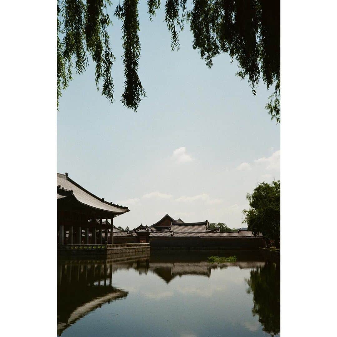 ペ・ジョンナムのインスタグラム：「아름다운 경복궁(1)😍📸📸📸🎞️💚❤️💙 camera rollei35 classic #노보정노필터 #배작가 #rollei35classic」