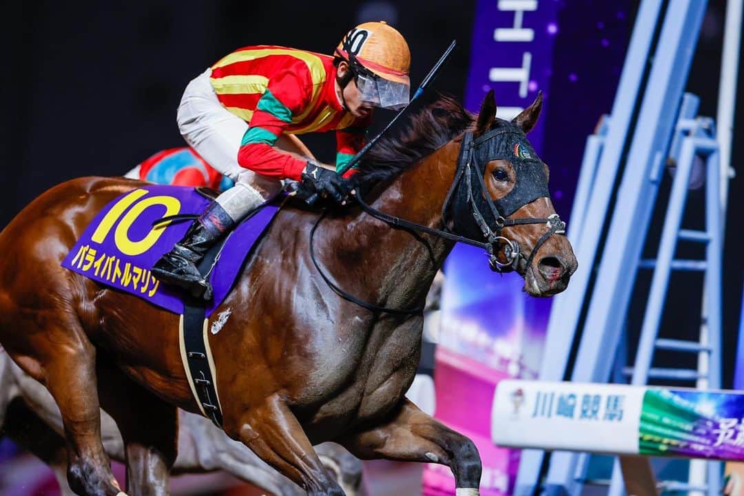 netkeibaのグルメインスタ