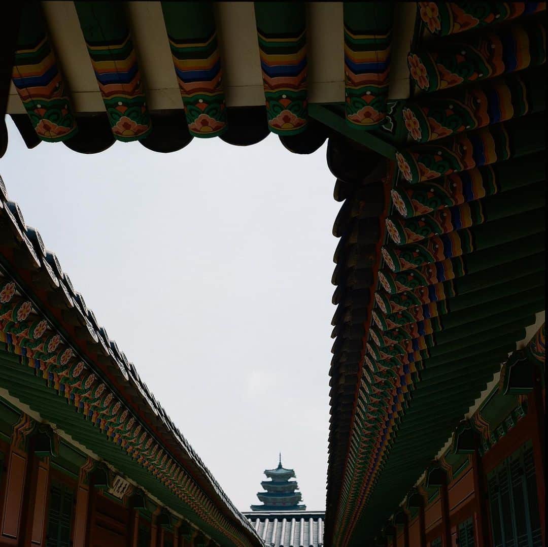 ペ・ジョンナムのインスタグラム：「아름다운 경복궁(2) 😍❤️💚💙📸🎞️🎞️ 📸rolleiflex 3.5f 📸rolleiflex 2.8f 📸rolleiflex 2.8gx ⭐️⭐️⭐️ #노보정노필터 #배작가 #120mmfilm #rolleiflex」