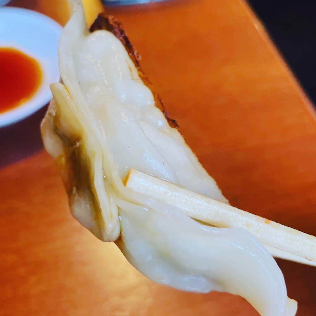 向清太朗さんのインスタグラム写真 - (向清太朗Instagram)「餃餃餃〜！ 新福菜館って美味しいラーメン屋知ってるかい？そこの餃子も美味しいに決まってるだろ！ 濃いめのスープに合うようなしっかりした青じそ餃子が最高！ 浜松町に行ったら是非食べて欲しい餃〜！  #餃子 #青じそ餃子 #新福菜館 #餃子君 #ネギと青じそ最高の組み合わせ #野菜って美味いよね #野菜さん #野菜さんとは何だ #餃子君が認識されてないんだからスピンオフすな #そもそもスピンオフでもないやん #ただのオフ #スピンアホ #川島ねごと #天津向 #餃餃餃」6月15日 18時25分 - tensinmukai