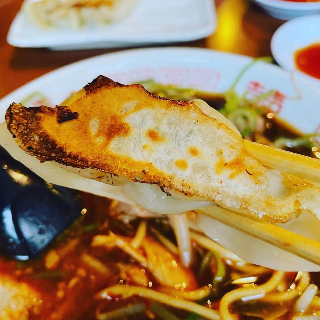 向清太朗さんのインスタグラム写真 - (向清太朗Instagram)「餃餃餃〜！ 新福菜館って美味しいラーメン屋知ってるかい？そこの餃子も美味しいに決まってるだろ！ 濃いめのスープに合うようなしっかりした青じそ餃子が最高！ 浜松町に行ったら是非食べて欲しい餃〜！  #餃子 #青じそ餃子 #新福菜館 #餃子君 #ネギと青じそ最高の組み合わせ #野菜って美味いよね #野菜さん #野菜さんとは何だ #餃子君が認識されてないんだからスピンオフすな #そもそもスピンオフでもないやん #ただのオフ #スピンアホ #川島ねごと #天津向 #餃餃餃」6月15日 18時25分 - tensinmukai