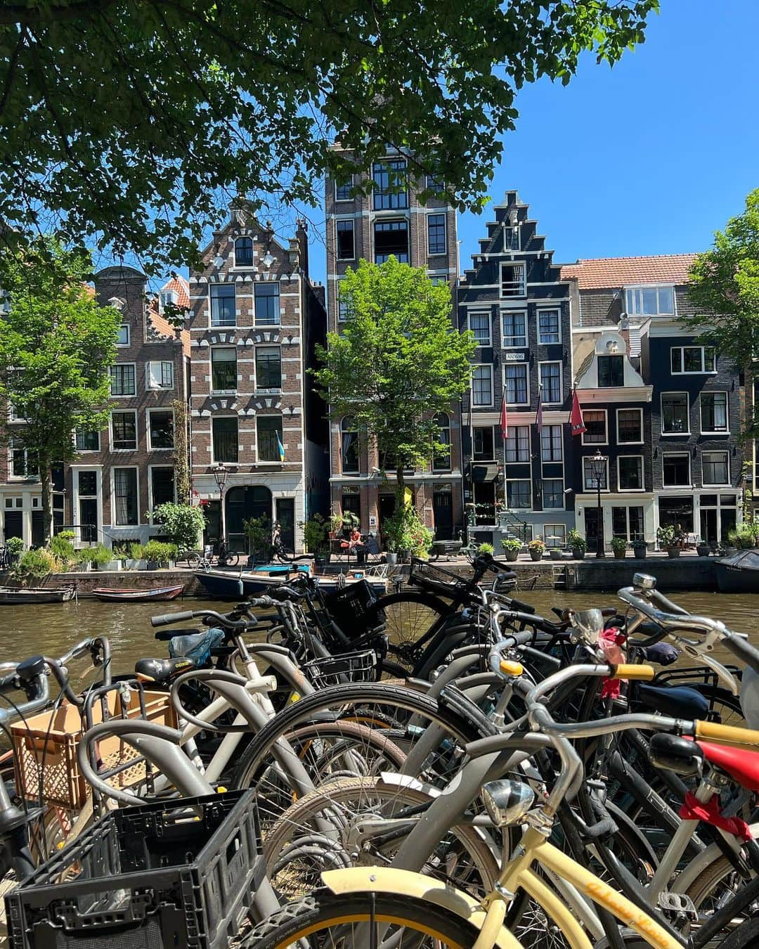 コンスタンス・ジマーさんのインスタグラム写真 - (コンスタンス・ジマーInstagram)「Amsterdam your bike paths, your water canals, your art museums, your history and your tiny cars make it incredibly hard to say goodbye. We’ll be back soon and we may not leave next time.」6月16日 0時11分 - constancezimmer