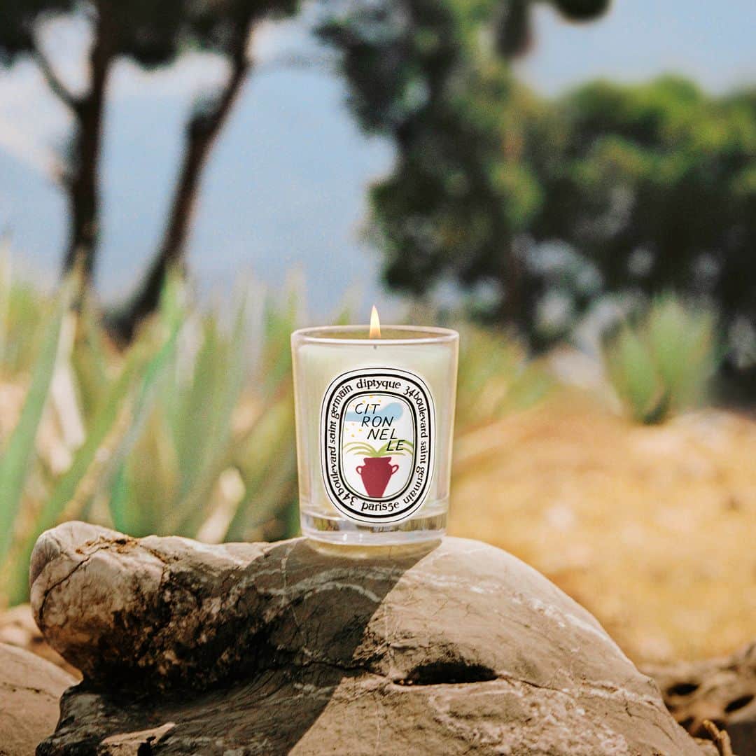 ディプティックのインスタグラム：「As the sun goes down… …the Citronnelle candle readies itself. Its lively, aromatic notes of lemongrass, verbena and orange blossom make it the scent of summer.   #diptyque #diptyqueparis #citronnellecandle #summercollection」