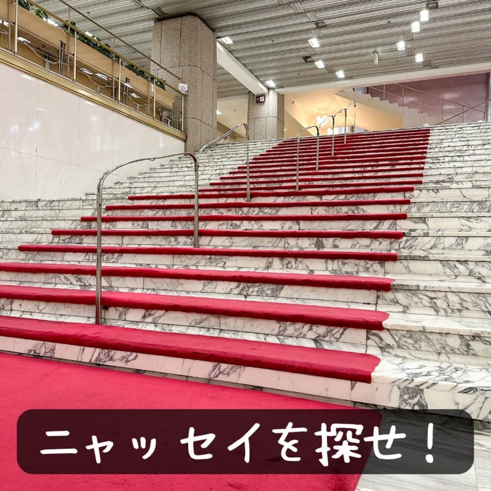 日本生命保険相互会社さんのインスタグラム写真 - (日本生命保険相互会社Instagram)「#ニッセイ名作シリーズ 2023　スタート！ 6月6日より、ニッセイ名作シリーズ 2023が日生劇場にて始まりました。  #ニャッセイ も劇場に遊びに行ったようです。 ニャッセイを見つけた方はコメント欄に「🐱」を送って、教えてくださいね♪  #ニャッセイを探せ  日生劇場は今年で60周年を迎えます。5代目社長弘世現の、「子どもたちへの観劇体験の提供を通して、心豊かな社会にしたい」という信念を軸に、これからも優れた作品をお届けします。 日本生命は日生劇場と共に、子どもたちの「豊かな心」を育み、思いやりのある社会への発展に寄与していきます。  #日生劇場　#日比谷 #日本生命　#ニッセイ　#nissay　#今日と未来をつなぐ」6月15日 19時00分 - nissay_official
