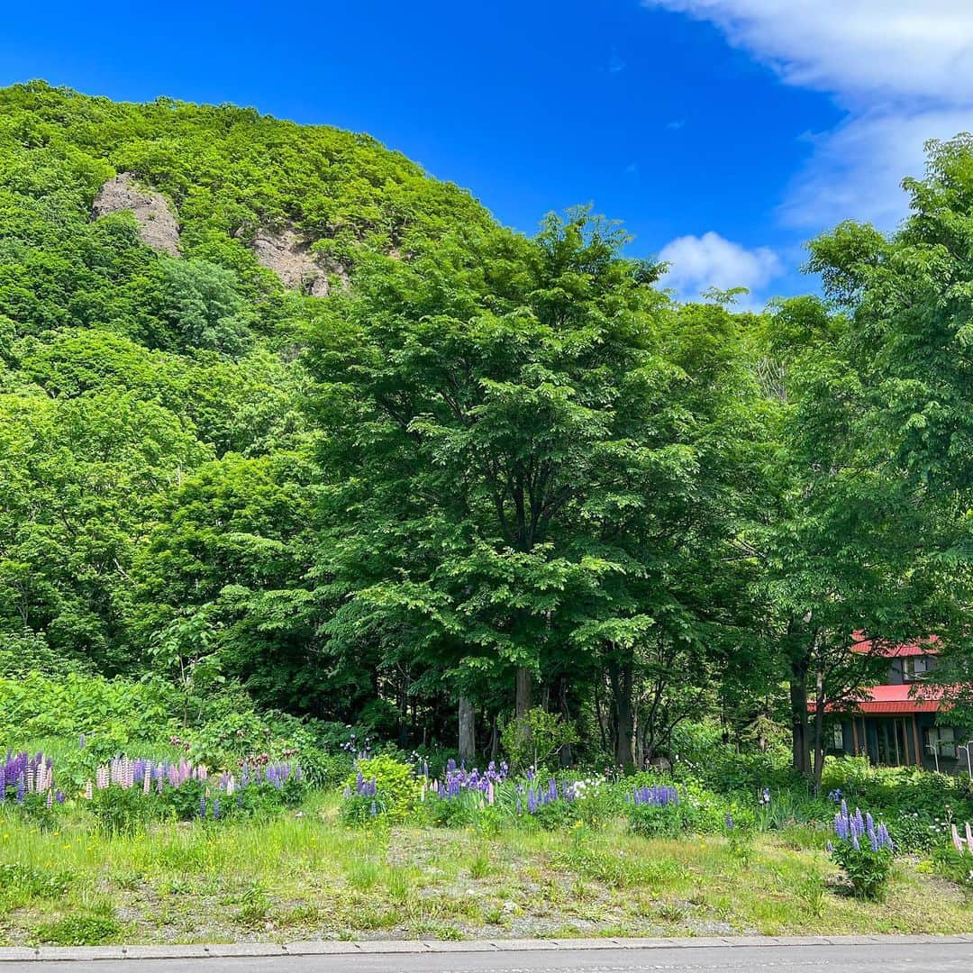 木村真人のインスタグラム：「溢れ出るボク夏感…  #北海道旅行 #北海道の風景 #ファインダー越しの私の世界 #風景 #晴天 #川 #eoskissx7 #ef1740f4l #田舎の風景」