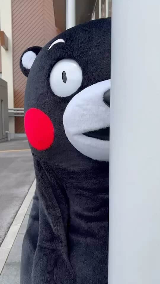 のインスタグラム：「． 😯ひょっこりくまモン😯  柱に隠れてるつもりですが… 入りきれてない🫣🤭  みなさんもくまモンと一緒にひょっこりしてみてはいよ👀🌈  #4秒の見つめ合い💞 #最後は大胆に #タイミングが重要  #くまモン#kumamon#熊本熊」