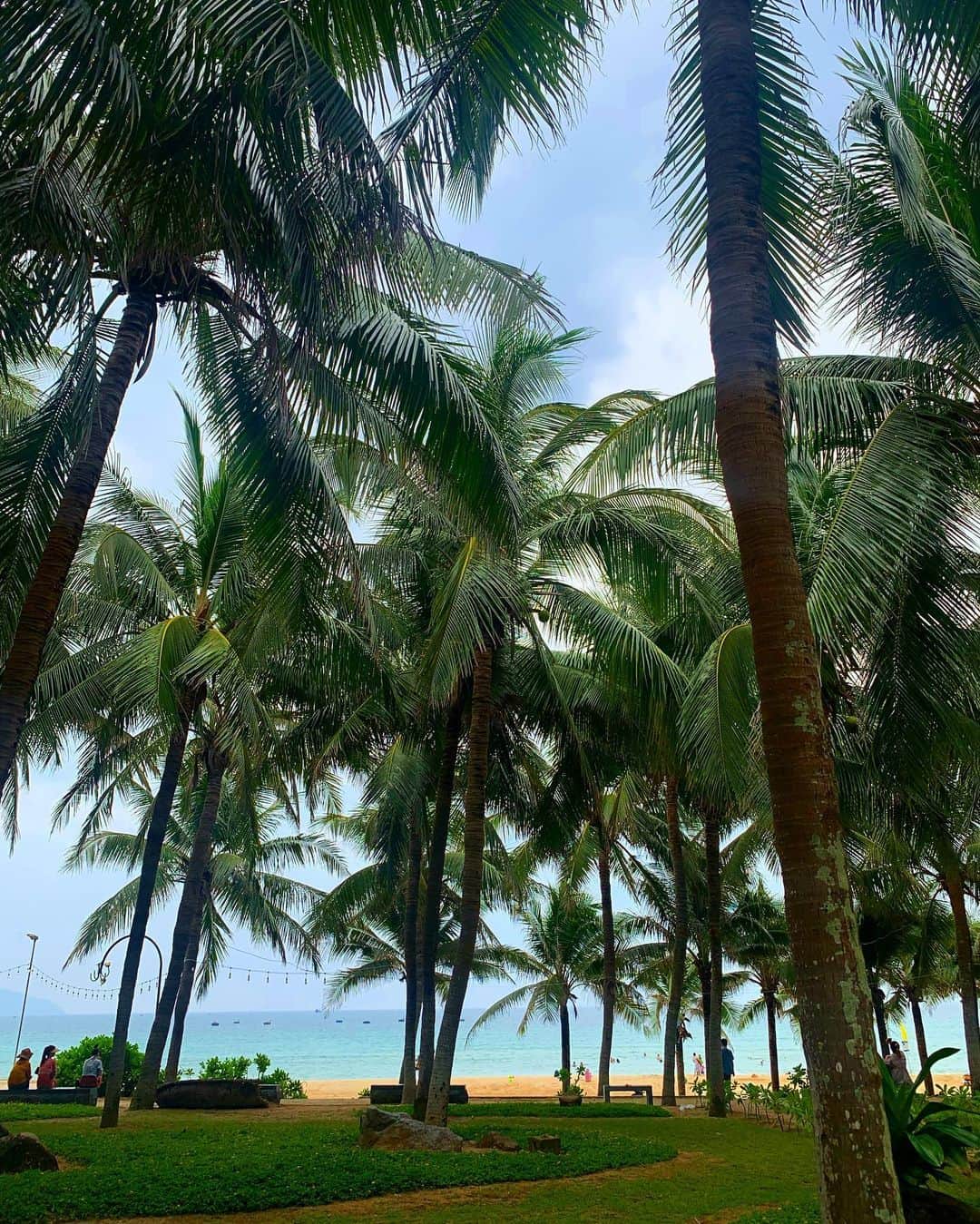 ふーぽんのインスタグラム：「📍 Thành phố Đà Nẵng🏝️☀️🇻🇳💕」