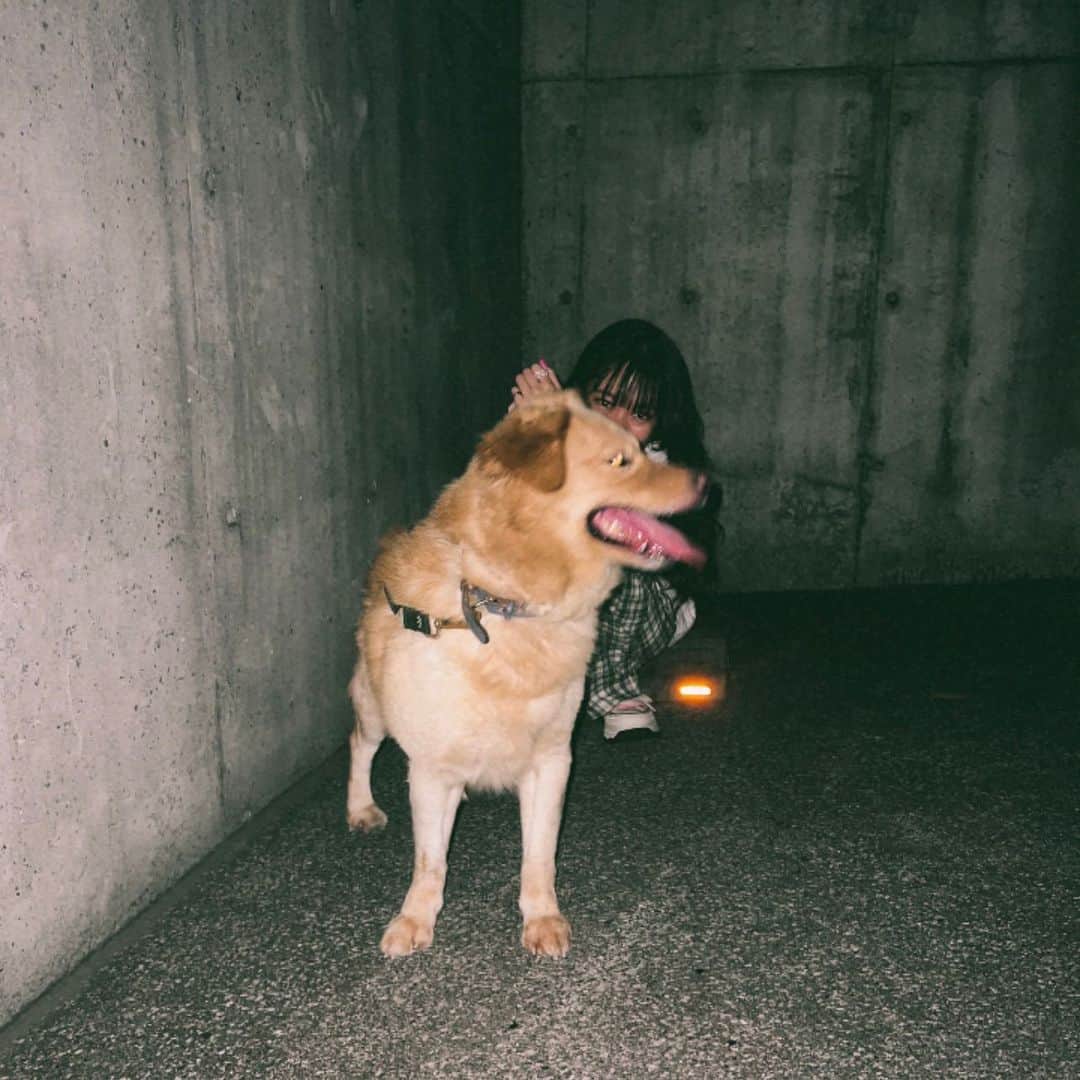 松林彩のインスタグラム：「顔面舐め逃げ犯人🐕」