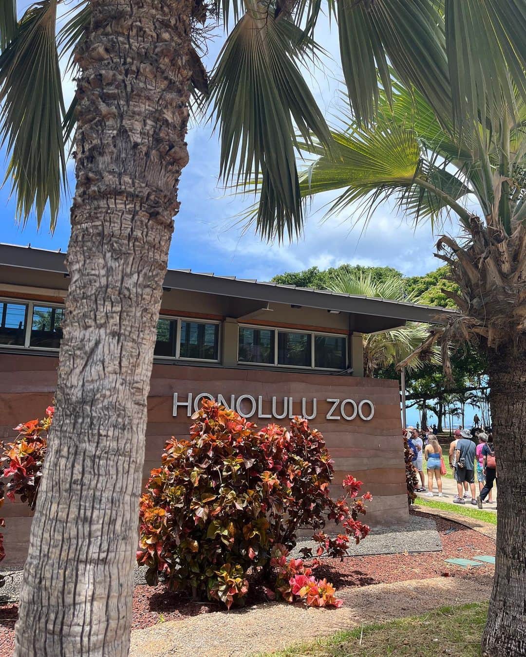 HISANAさんのインスタグラム写真 - (HISANAInstagram)「初めてのHonolulu zoo🐘🐢🦒🦓 色んな動物に会えた🫶 すずちゃんはとくにかめさんとオラウータンがお気に入りでした☺️ ぞうさんよりもぞうさんの💩見て、ずっとpoop！poop！言ってたすずちゃん🤣 動物園なのに全然臭くなくてびっくりした。笑笑  遊具もあってそこで嬉しそうに遊んでたすずちゃん👧🏽🩵 楽しかった〜😘  日本の動物園みたいにめちゃくちゃ坂道とかないからベビーカー押しながらまわりやすかったです◎  ちなみに入園料は  Adults (13+)	$19.00 Children (3-12)	$11.00 Infants (Under 2)	Free  クレジットカード使えました☺️👌  動物園のあとホテルのマイタイバーで飲んだビールほんまにおいしかった…🍻 マイタイバーのトリュフフライ美味しすぎるので絶対食べてほしい🥹🍟  #1歳女の子#1歳7ヶ月#ママライフ#女の子ママ#子育て#育児記録#海外移住#フィリピン移住#フィリピン#マニラ#海外子育て#海外で子育て#ハワイ旅行#子連れハワイ#Honoluluzoo#19months」6月15日 20時56分 - hisana22