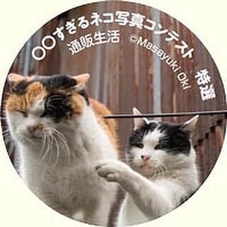 Masayukiさんのインスタグラム写真 - (MasayukiInstagram)「「クオカード」も賞典に！  いつもご応募くださって誠にありがとうございます❗️  通販生活® 「〇〇すぎる」ネコ写真コンテストの締切日は6月30日になりますー。 入選すると 必死すぎるネコステッカーもしくはクオカードをプレゼント！  Instagramのぼくのプロフィールページに掲載されているlink tree のURLから投稿ページに行けると思います。 お手数をおかけしますが、どしどしご応募お待ちしております！ よろしくお願いいたします。  #通販生活」6月15日 21時16分 - okirakuoki