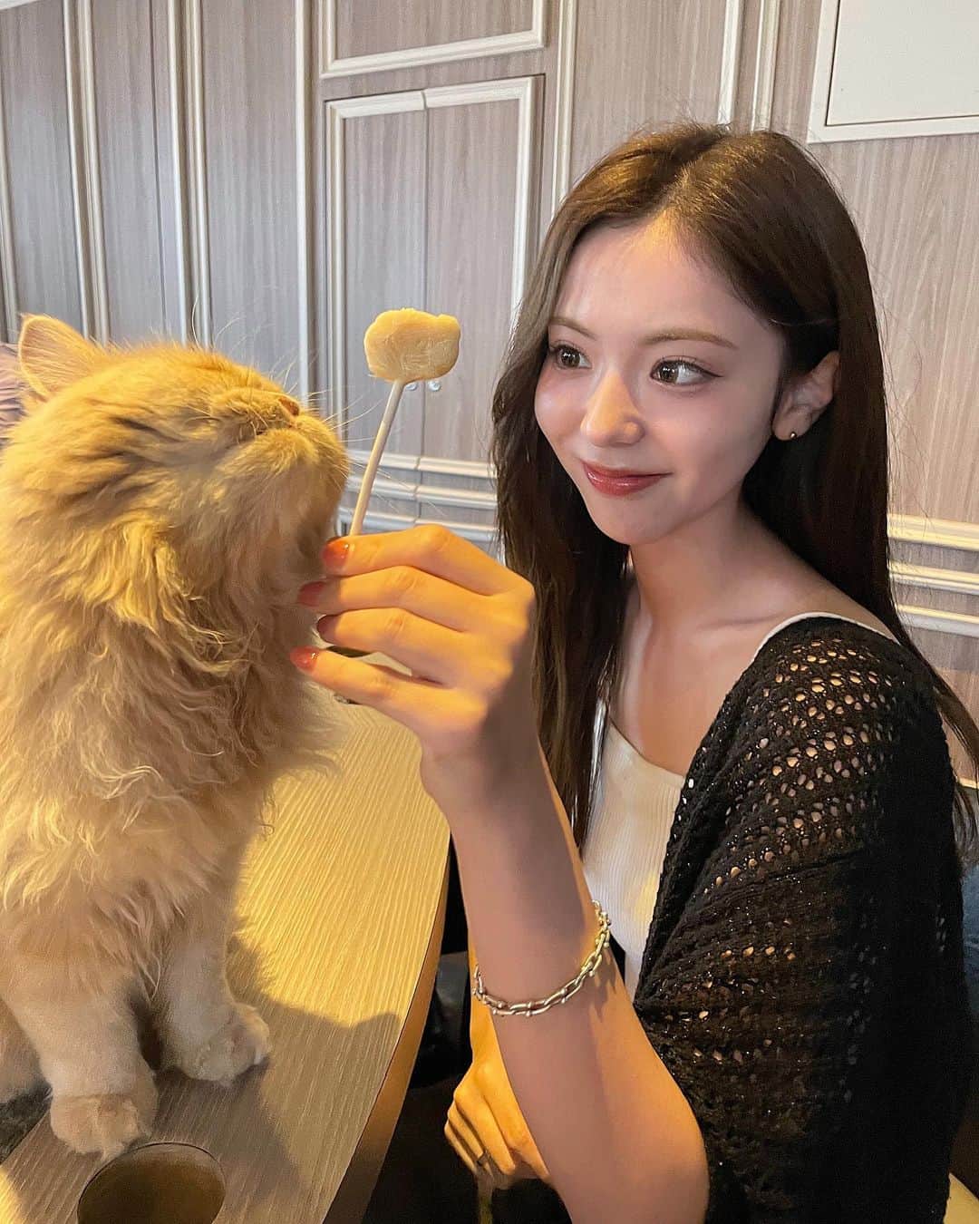 ひなのグルメインスタ