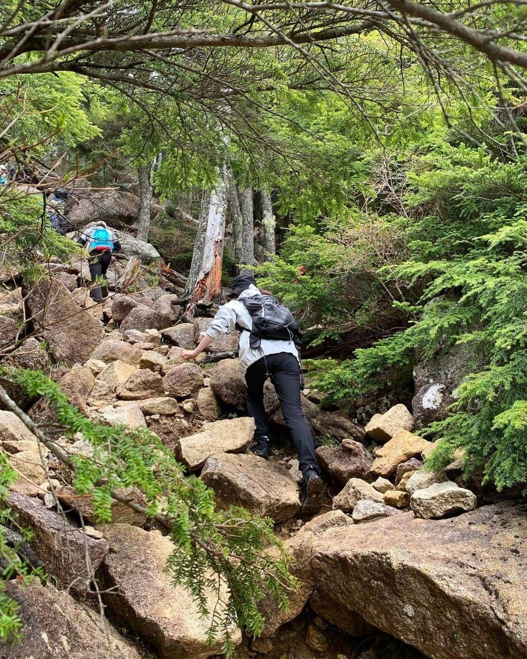 mina hinokuchiさんのインスタグラム写真 - (mina hinokuchiInstagram)「. 久々の登山⛰️ 見どころたくさんの瑞牆山へ。  とにかく巨大な岩達がかっこいい🪨 岩場も多くて少し険しい道もあったけど、 登り切った時の達成感がとても気持ちいい山でした☀︎  行きは霧がかってたけど山頂で晴天になって、 どっちも雰囲気も楽しめました。  山頂で食べるカップヌードルと、挽きたてコーヒーが最高◎  #瑞牆山 #みずがきやま #登山 #登山コーデ #登山女子  #Chico #thenorthface #martinkim #montbell #merrell」6月15日 21時34分 - miiinah