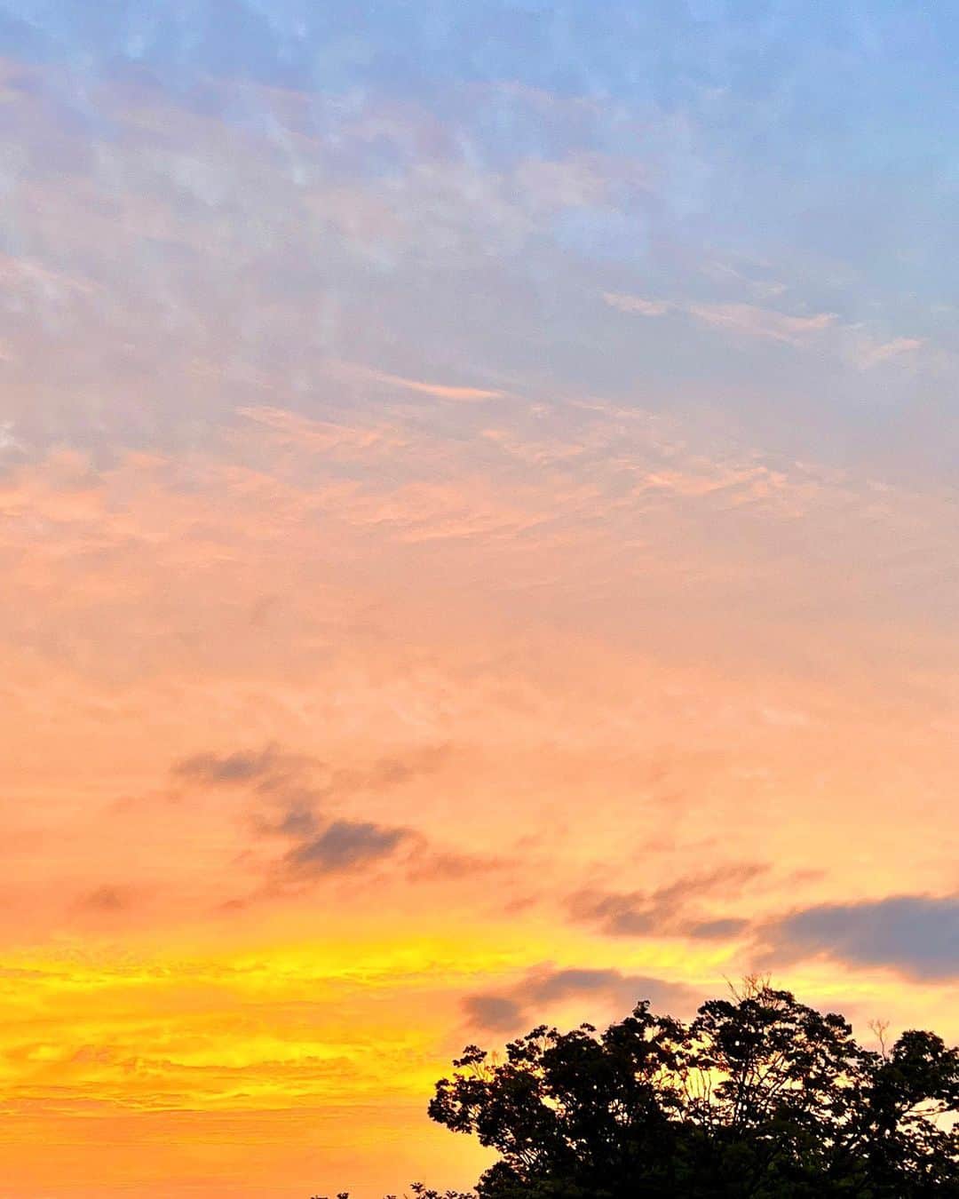 草野春香さんのインスタグラム写真 - (草野春香Instagram)「.🧡→💜  空のグラデーションが綺麗だった🕊  #sunset」6月15日 21時33分 - _haruka030_