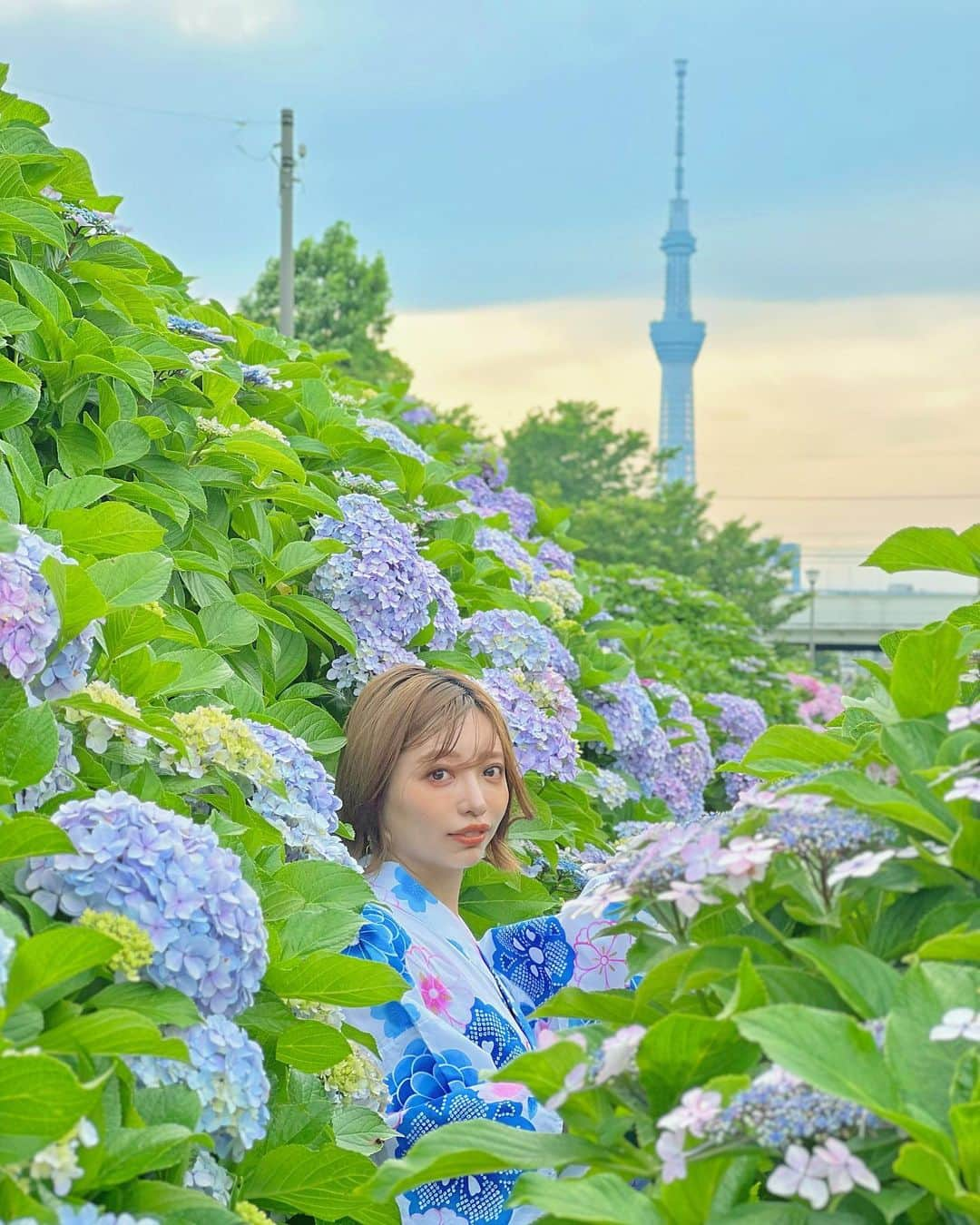 和希詩織のインスタグラム：「紫陽花の季節  📍ふれあい橋(平井駅) 江戸川区 📸2023.6月上旬  スカイツリー✖️紫陽花  #紫陽花#あじさい#visitjapanjp #お出かけスポット#タビジョ#tabijo#japanphoto#日本の絕景#unknownjapan#genic_japan#bestphoto_japan #スクリーンに恋して#tabifleeeeek#花のある風景#retrip_news#紫陽花の季節 #アジサイ#東京スカイツリー#スカイツリー#紫陽花スポット#映えスポット #はまっぷ #japanview #ふれあい橋#平井」