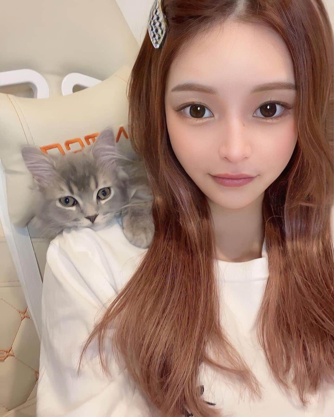 sayaさんのインスタグラム写真 - (sayaInstagram)「. . 6月から新たな目標に向けてプログラミングの勉強を始めました🔥 PC苦手で苦戦してるけど日々少しずつ成長してるのを実感🥹👏 . 仕事と勉強両立できるように頑張るぞー🔥 . 皆様！出来るようになったらお仕事くださーい！！🙌🙌🥹 .  #プログラミング#Webデザイナー#プログラミング初心者#プログラミング初心者と繋がりたい#駆け出しエンジニア#IT業界#喧嘩道#喧嘩道ガールズ#ライジン#ティックトック#ティックトッカー#モデル#芸能#事務所#撮影モデル#ブレイキングダウン#カメラマン#撮影#ヘアメイク#ヘアアレンジ#ネコのいる暮らし#ラガマフィン」6月15日 21時59分 - chacha_maru425