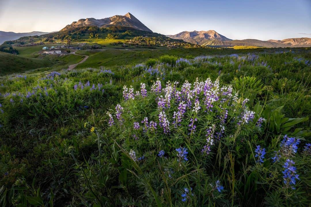 CANON USAさんのインスタグラム写真 - (CANON USAInstagram)「Capture the beauty around you, happy #NaturePhotographyDay! 🌎 💚   📸 #Canon EOS R6 Lens: RF15-30mm F4.5-6.3 IS STM」6月15日 22時04分 - canonusa