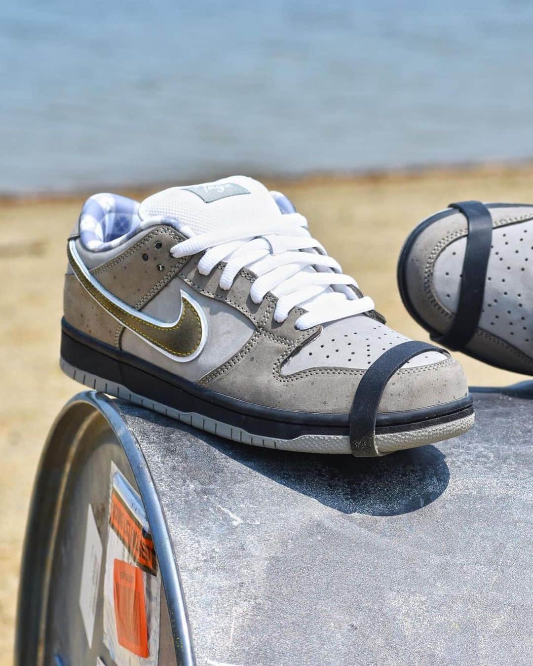 Nice Kicksさんのインスタグラム写真 - (Nice KicksInstagram)「Would you rock these custom “Oil Spill” @cncpts x Nike SB Dunk Lows? 🦞 (via @tagzfootwear)」6月16日 9時15分 - nicekicks