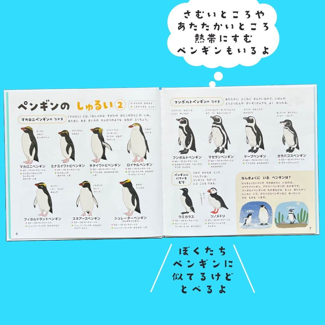 学研ゼミ【公式】さんのインスタグラム写真 - (学研ゼミ【公式】Instagram)「＼新発売／かわいくてすごい！ペンギンのひみつ🐧 大好評・学研のえほんずかんに新作登場   ユニークな１テーマを、 絵本のように 温かみがある美しいイラストで、 図鑑のように くわしく知ることができる 新シリーズ「学研のえほんずかん」。   このたび、最新作「 #すもうのずかん 」と 同時に発売されるのが、 こちらの『 #ペンギンのずかん 」です🐧 　 🐧リアルかわいいペンギンのイラスト ペンギン大好きイラストレーター・ #きゅう さんの リアルなイラストが、なんと400点。 よちよちのひなもいっぱいです♪   🐧監修は動物学者の #今泉忠明 先生、 #コウテイペンギン と #オウサマペンギン #フンボルトペンギン と #ケープペンギン など、 似ているペンギンの見分け方も紹介します。   🐧どうして白黒模様なの？ 南極以外にもペンギンはいるの？ など、ペンギンのことが詳しくわかる！ ペンギンの種類全18種を掲載し、 泳ぐ様子、歩く様子、子育てなど さまざまな生態を紹介しています。   かわいいだけじゃない、 実はすごいペンギンの 能力や特徴もわかります💡   この本で ペンギンの特徴をしっかり確認すれば、 #水族館 や #動物園 に行ってみたくなるかも？ ペンギンの生態をくわしく、 そしてとびきりかわいく紹介する一冊です✨   『 #学研のえほんずかん　#ペンギンのずかん』 おすすめの年齢：３歳～６歳 #Gakken #学研の絵本 #絵本 @gakken_ehon」6月16日 8時15分 - gakken_ehon