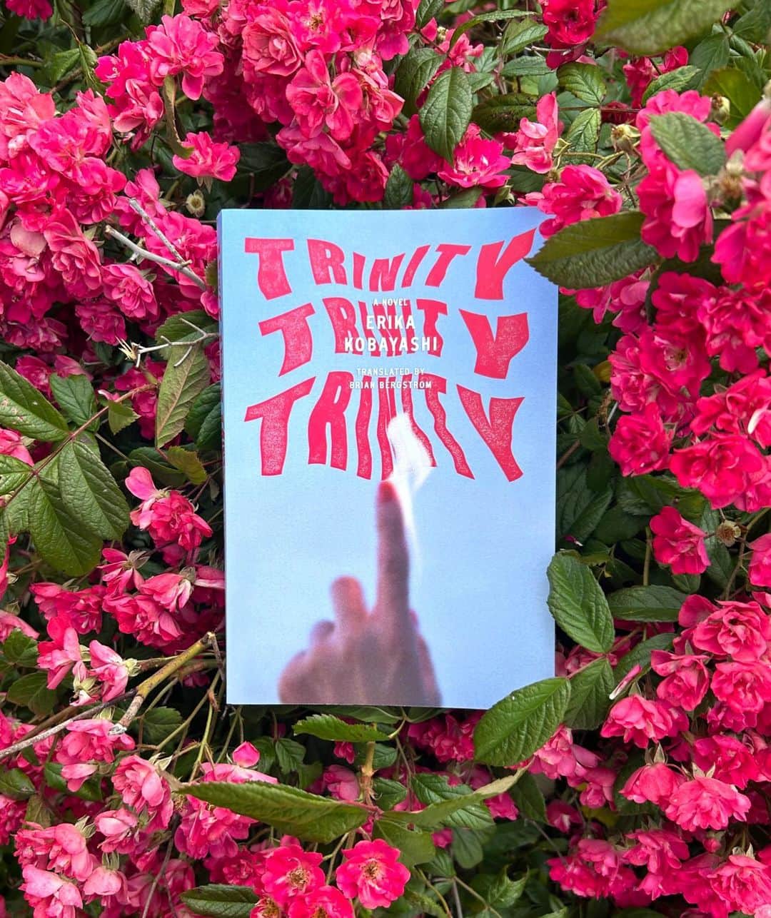 小林エリカのインスタグラム：「Now available in paperback!🌺  Erika Kobayahshi's literary thriller about the effects of nuclear power on three generations of Japanese women, translated by Brian Bergstrom.  "TRINITY, TRINITY, TRINITY is something like a next-step in Japanese atomic literature."—Asian Review of Books」