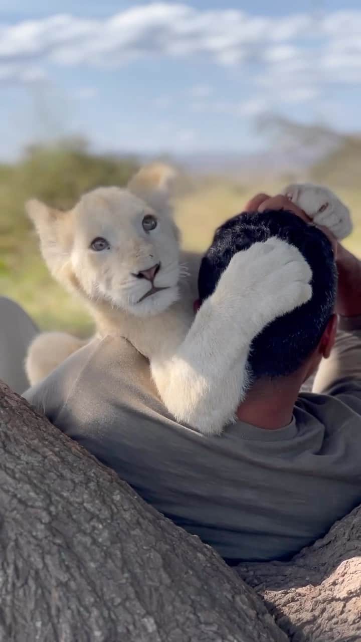 سعودのインスタグラム：「Nala ❤️」