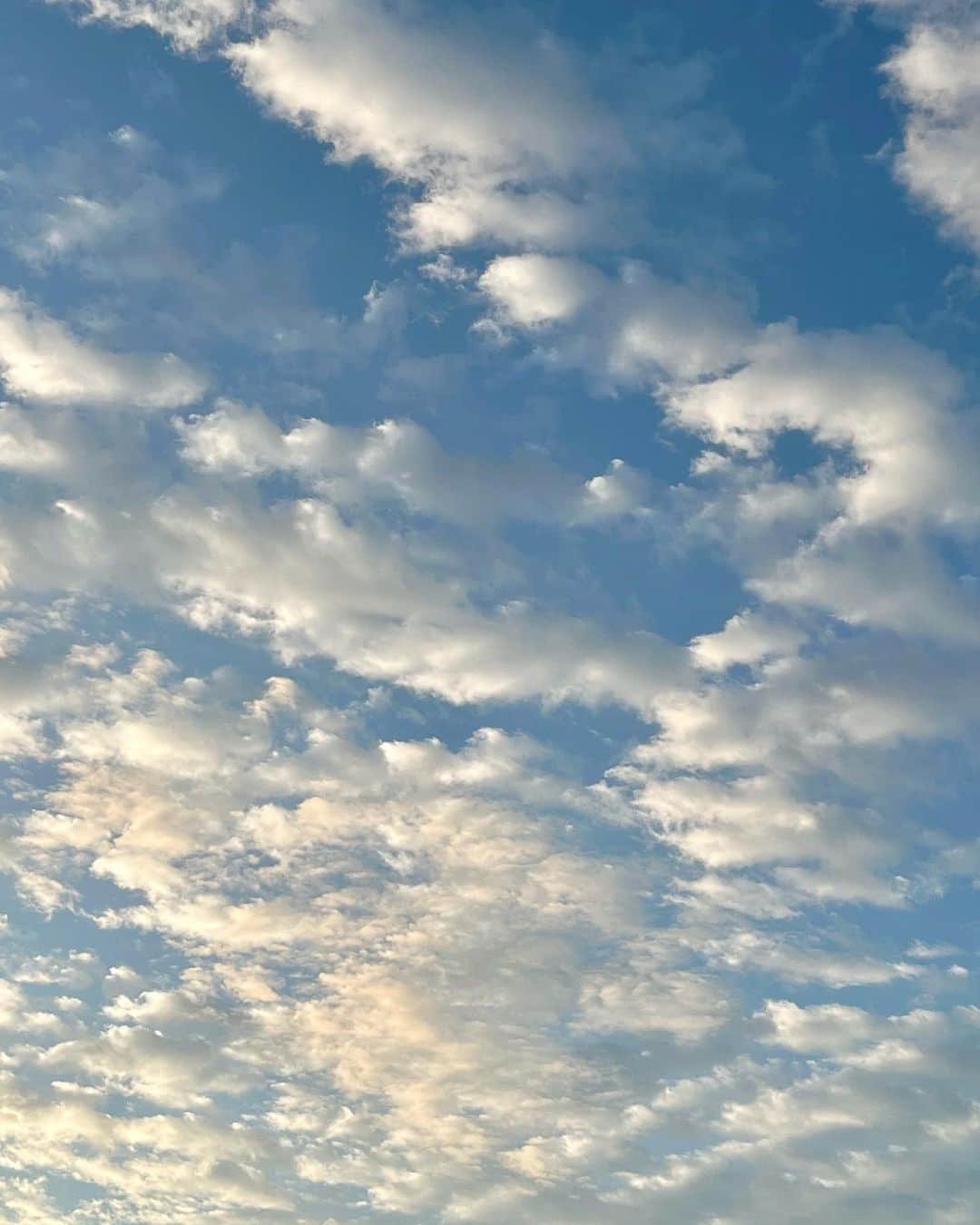 竹井亮介のインスタグラム：「2023年6月16日。 午前4時50分頃、東の空。 #今朝の色 #空」