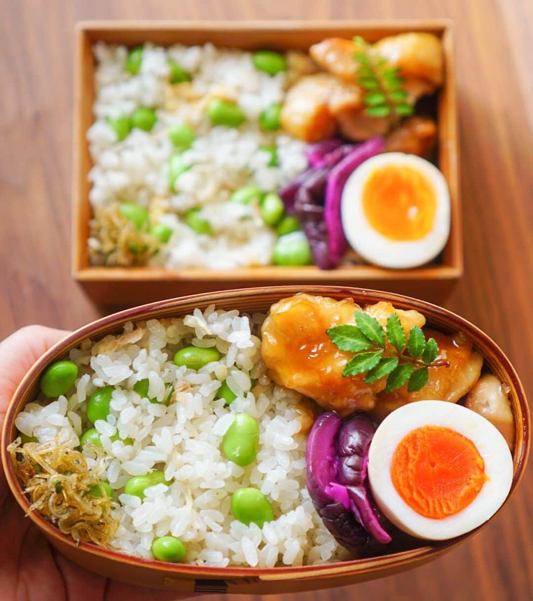 のインスタグラム：「○新生姜ご飯弁当○ ・ 新生姜と松山揚げと枝豆のご飯 鶏の照り焼き 味たまご 柴漬けとちりめん山椒 ・ 新生姜と松山あげで炊き込んだご飯に、茹でてむいた枝豆をさっくり混ぜる。炊き込みの中でもこの初夏っぽいご飯が特に好き☺︎ 緑のおかずを何か用意しようと思っていたけど、緑率そこそこ高いしまぁいいか、とおかずふたつの簡単弁当に。 ・ ちょっと弱音 引っ越してまるまる3ヶ月以上経つけど、まだ慣れないの🙌🏼  ○朝は6時台からお寺のおつとめ音とカラスたちの音 ○週末は長時間すぐそばの広場やお寺のイベントの音 ○夜はバイクに救急車に消防車(街で暮らすと多さに驚！ ○夕刻にはデモや決起集会のシュプレヒコールも  ずっと外れの静かな中で暮らしていたせいで、ちょっと音に弱いのかもしれないけど 熟睡出来ないし、仕事も集中出来なくて😇  コレどうしたらいいのでしょう😂 もう少ししたら慣れるのかな。耳栓って大事な音聞き逃したりしないだろうか？とモヤモヤしながら暮らしております。 ・ 長くなりましたが お弁当持っていってきます いってらっしゃい #obento #bento #lunchbox #お弁当 #おべんとう#曲げわっぱ#わっぱ#炊き込みご飯#新生姜ご飯#炊き込みご飯弁当#照り焼きチキン#枝豆ご飯」