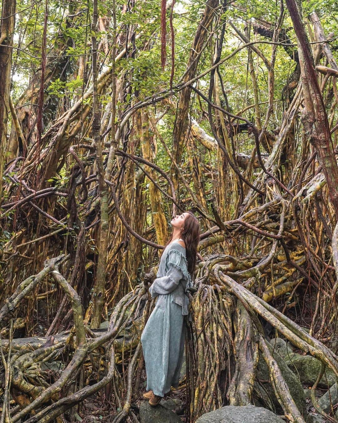 羽石杏奈のインスタグラム：「If you are a nature lover and a hiker, Yakushima is your destination. 🌳✨  小さい頃からなぜかずっと屋久島に憧れてて 念願の屋久島、今までに出会ったことない 自然の深さと豊かさに圧倒される場所でした✴︎ 言葉じゃなかなか書き表せなくて、、 10枚の写真から少しでも屋久島のパワー伝わったら嬉しいな💫  屋久島のメインのアクティビティはハイキング。 樹齢2000〜7000年といわれてる縄文杉は、 朝暗いうちに出発して往復約10時間(!)のハイク🍃 結構ハードだけど、人生で一度は訪れてみてほしい場所◎ 10時間かけてもあの自然に出会えるなら、何度でも行く価値あり。 (私たちは旅の途中で下調べも準備も100%じゃなく 軽装で挑んでしまって、10時間雨の中びしょ濡れだった笑 事前準備忘れずにね🫶)  今日と来週のYouTubeは屋久島vlog🌱興味ある方はぜひ♡ Yakushima trip vlog will be uploaded on my YouTube channel tonight and next Friday! 🎥⚡️」