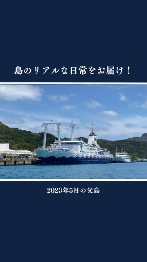 小笠原村観光協会のインスタグラム：「島の日常をお届け！】2023年5月の父島  小笠原諸島の父島の生活ってどうなの？ 観光の楽しみ方は？ 月ごとの小笠原はどんな感じなの？  そんな様々な疑問にお答えできるように、父島の日常やイベントなどをお届けするこの企画！ 今回は「2023年5月の父島」をお届けします！！  5月は、 待ちに待ったゴールデンウィーク おがさわら丸がドック入り さるびあ丸来島！ 音楽イベントWaltz開催 夏の気配が・・・ サンゴの産卵がありました アオウミガメの産卵を確認 おがさわら丸がピカピカになって帰ってきました などがありました😃  #小笠原  #小笠原諸島  #父島  #ogasawara  #boninisland  #ogasawaraisland  #島暮らし  #小笠原の日常  #離島暮らし  #ここも東京  #船で24時間  #船のある風景 #くじらのぼり #おがじろう #おがさわら丸 #さるびあ丸 #海  #海のある生活  #サンゴ #アオウミガメ #boninblue  #ボニンブルー  #ogasawalove #5月の小笠原」