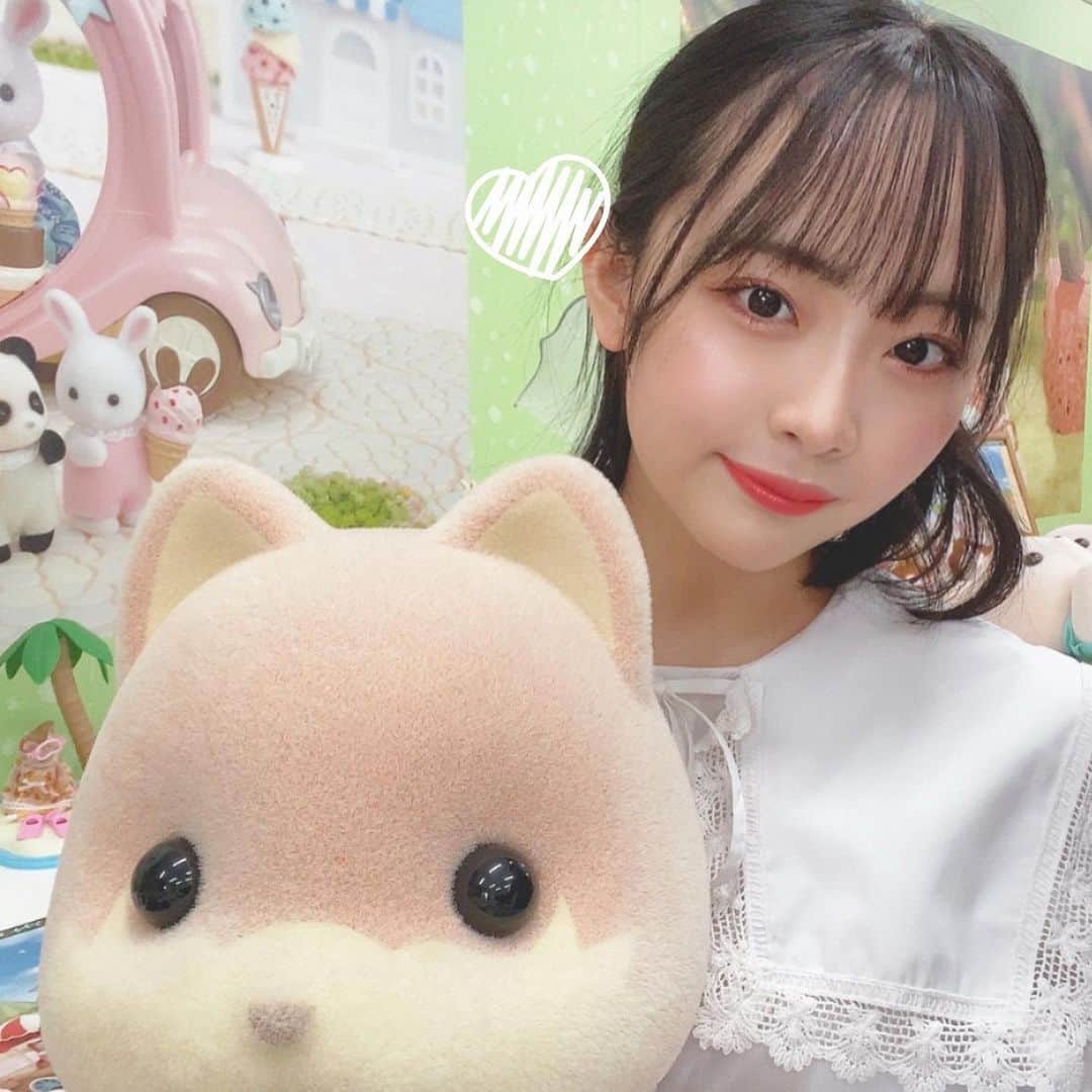 川嶋美晴のインスタグラム