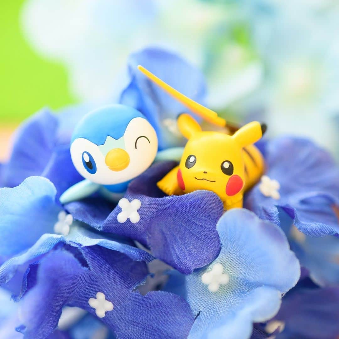 ピカチュウ公式Instagramのインスタグラム