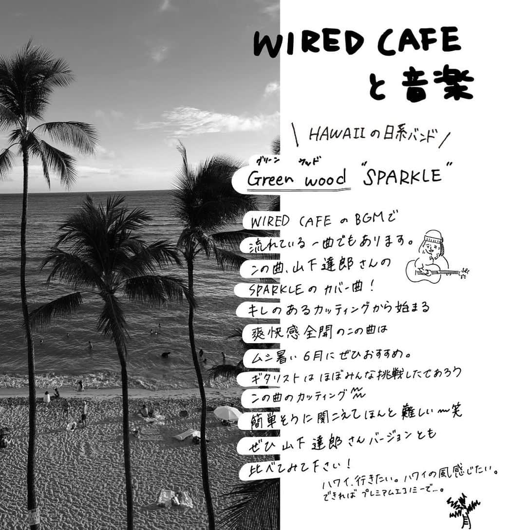 WIRED CAFEさんのインスタグラム写真 - (WIRED CAFEInstagram)「《WIRED CAFEと音楽》 Green wood : SPARKLE  WIRED CAFEのBGMでも流れているこちらの一曲。 実はこの曲、山下達郎さんの「SPARKLE」のカバー  キレのあるカッティングから始まる 爽快感全開のこの曲は、ムシ暑い6月におすすめ。  ギタリストはほぼみんな挑戦したであろうこの曲のカッティング、、 簡単そうに聞こえて本当に難しい…笑  ぜひ、山下達郎さんバージョンとも 比べてみてください🎧🌴  ハワイ、いきたい。。✈️」6月16日 18時00分 - wiredcafe_official