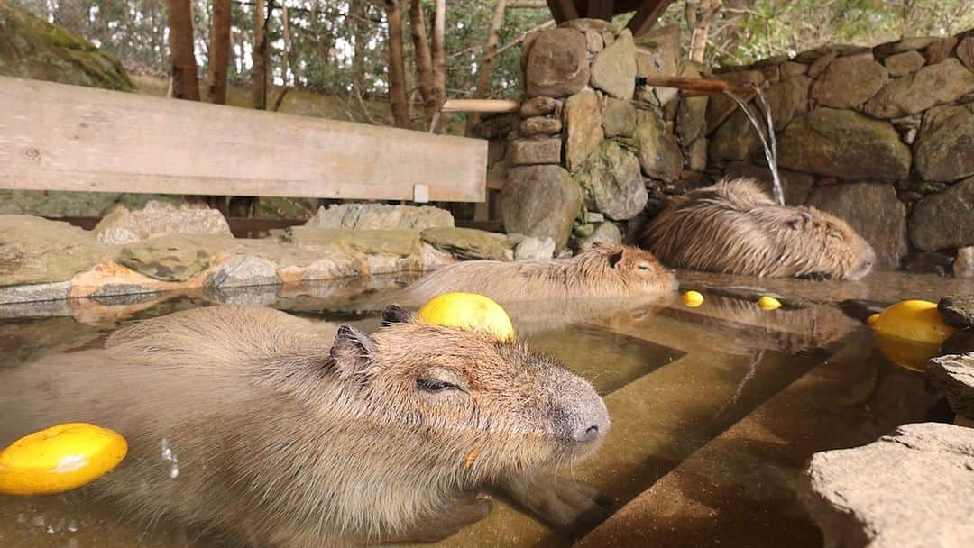 渡辺克仁のインスタグラム