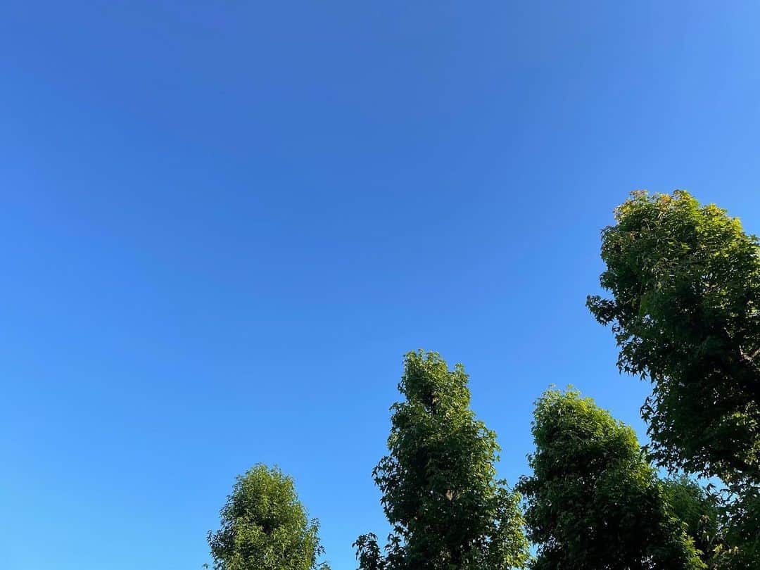 のインスタグラム：「. 🕊ご報告🕊  番組でもお伝えさせていただきましたが、 この度新しい命を授かりました。  10月くらいから産休に入らせていただきます。 育休を経て、大好きなこの場所にまた戻ってきます！  スマイルチャージと言いながら、 実は私の方が皆さんのコメントに力をいただいてました💌 本当にありがとうございます💕  まだしばらくは番組に出演しますので 引き続きよろしくお願いします☺️  #ご報告」