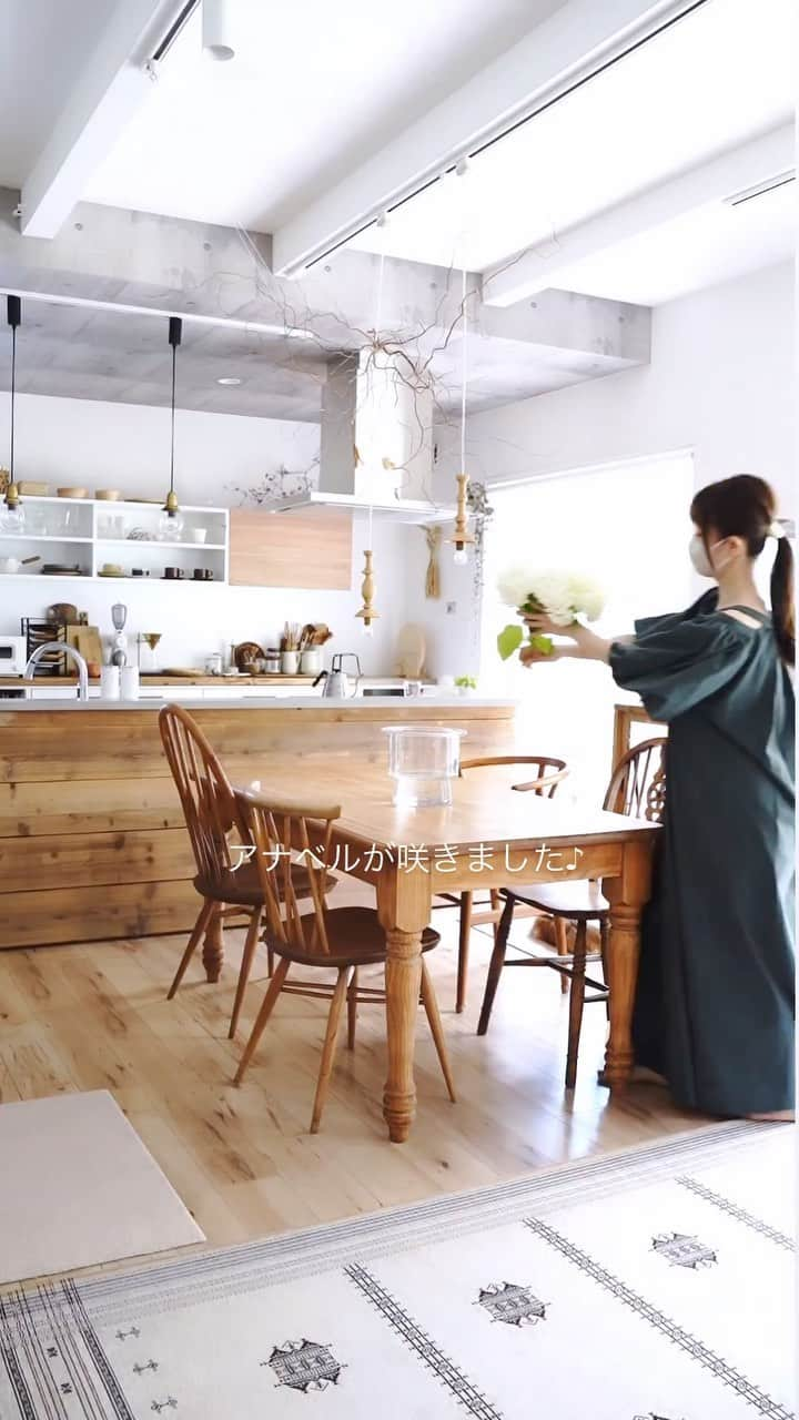 shihoのインスタグラム：「待ちに待ったアナベルが咲きました。  お部屋に飾ると 途端に爽やか〜  自分で育てたお花を飾る 小さな幸せ  私にとって植物は欠かせないもの。 美しい姿を見せてくれたり その生命力に力をもらったり 心の栄養です。  こちらは梅雨も明けたかのような 夏の日差しが降り注いでいます。  暑い空気を吹き飛ばして 気持ちだけでも爽やかに参りましょう  みなさま良い週末をお過ごしください♪ #アナベル#花のある暮らし#暮らしの記録#おうちカフェ#暮らし#日常#日々の暮らし#暮らしを愉しむ」