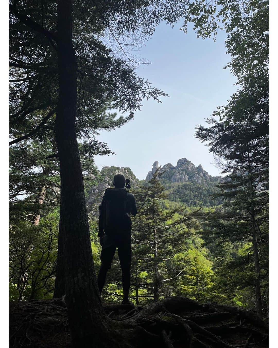 青山草太さんのインスタグラム写真 - (青山草太Instagram)「友達と一緒に 日本百名山・瑞牆山を登山。  いつもの低山・超低山とはちょっと違った風景や感じをお楽しみ下さい^_^  今度はロッククライミングと絡めて行きたいなー。  https://youtu.be/l9P92McWBqg  #青山草太#sotaaoyama #登山#トレッキング#trekking #日本百名山#瑞牆山 #山梨県#yamanashi  #絶景#巨岩 #ユーチューブ#youtube」6月16日 9時43分 - sotaaoyama