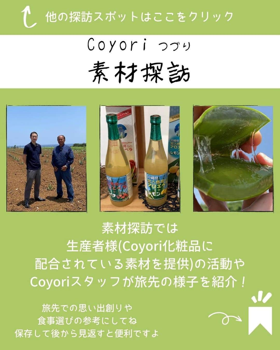 coyoriさんのインスタグラム写真 - (coyoriInstagram)「他の素材探訪はここから👉@coyori_official   宮古島 『しろう農園』さま 本日の #素材探訪 は ／ @shirounouen さま💚💙 ＼   ✈️✈️✈️✈️✈️✈️✈️✈️✈️✈️   沖縄県は宮古島にあります、しろう農園さまのアロエベラ。 「医者いらず」ともいわれるほどで、ビタミン類、ミネラル類、アミノ酸類、アロインなど、特有の成分含め、200種類にも及ぶ有効成分が含まれています👀 🔸胃腸への作用 🔸皮膚への作用 🔸頭皮への作用 🔸免疫力アップ 🔸生活習慣病への作用 🔸ストレス解消 🔸ダイエット などなど…☀️ いまではスーパーフードとして見直され、研究が進んでるんです🙄✨  特にしろう農園様のアロエベラは太く厚くピンとしたスタイリッシュさが特徴！ 無農薬栽培にこだわり、畑の雑草はカフェにも居るヤギに食べてもらっているんですよ🐐 苗も販売しているので気になる方はぜひ🙏 宮古島の日差しは刺さってくる感覚なのですが、アロエベラを直接体に塗るとベタつかず瑞々しくサッパリとして気持ち良かったです✨ go at cafeも近くにあり、ヤギと触れ合える体験もできるので家族でも楽しめますよ🤍   ✈️✈️✈️✈️✈️✈️✈️✈️✈️✈️   @Coyori アカウントでは、生産者様(Coyori化粧品に配合されている素材を提供)の活動や、Coyoriスタッフが取材先の新たな魅力を発信します 観光やお食事、お土産の参考におすすめ 気になる方はフォローしてね🌈   #しろう農園 #アロエベラ #アロエベラジュース #アロエジェル #アロエ #旅行 #国内旅行  #宮古島 #那覇 #沖縄 #沖縄旅行 #宮古島グルメ #宮古島旅行 #宮古島観光 #宮古島カフェ #沖縄カフェ #沖縄観光 #trip #travelphotography #japantravel #japantrip #旅行好きな人と繋がりたい #旅好き #旅行大好き #美容 #誰かに見せたい景色」6月16日 19時00分 - coyori_official